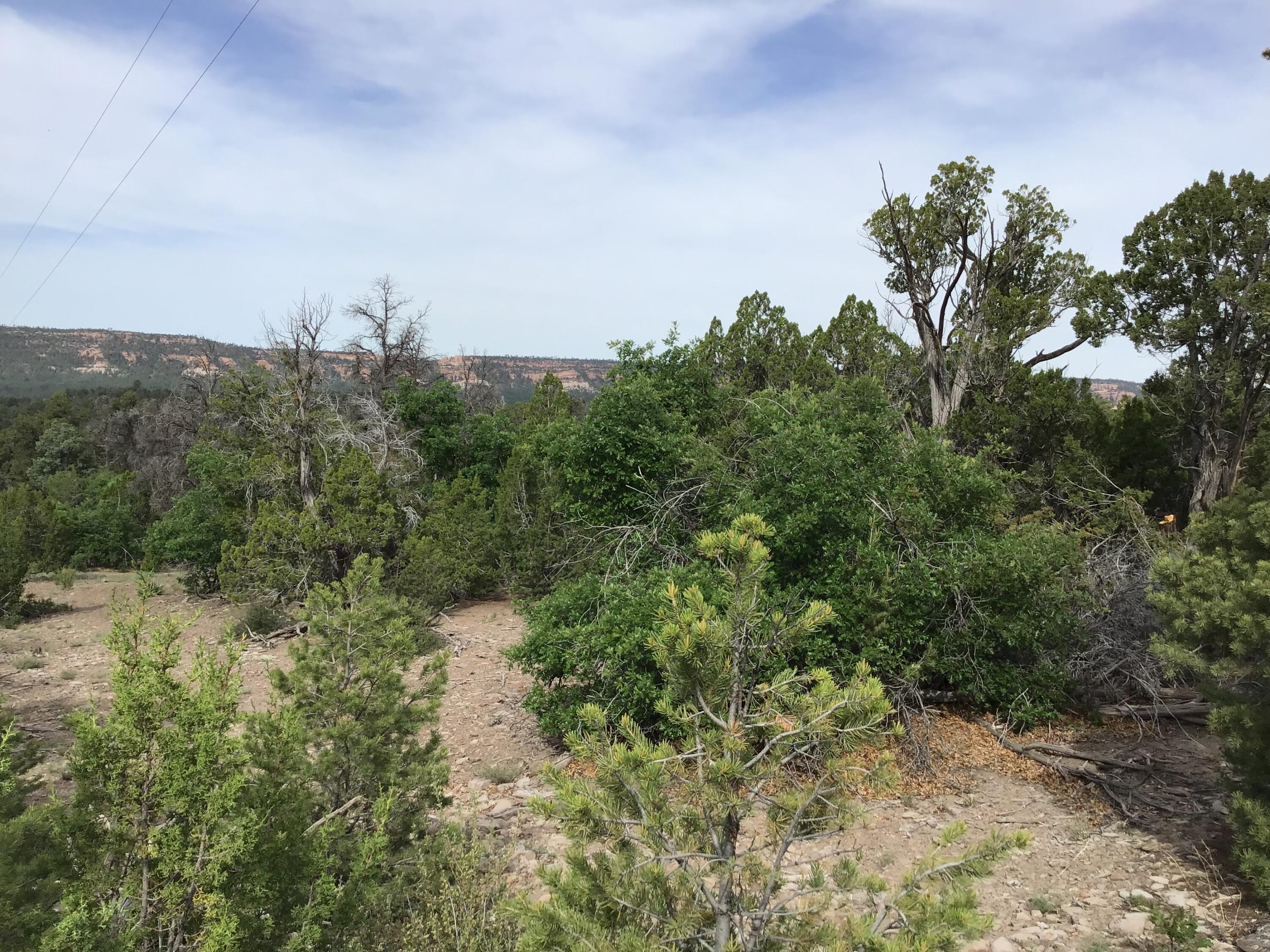 Photo 6 — Lot 23 Sunflower Drive