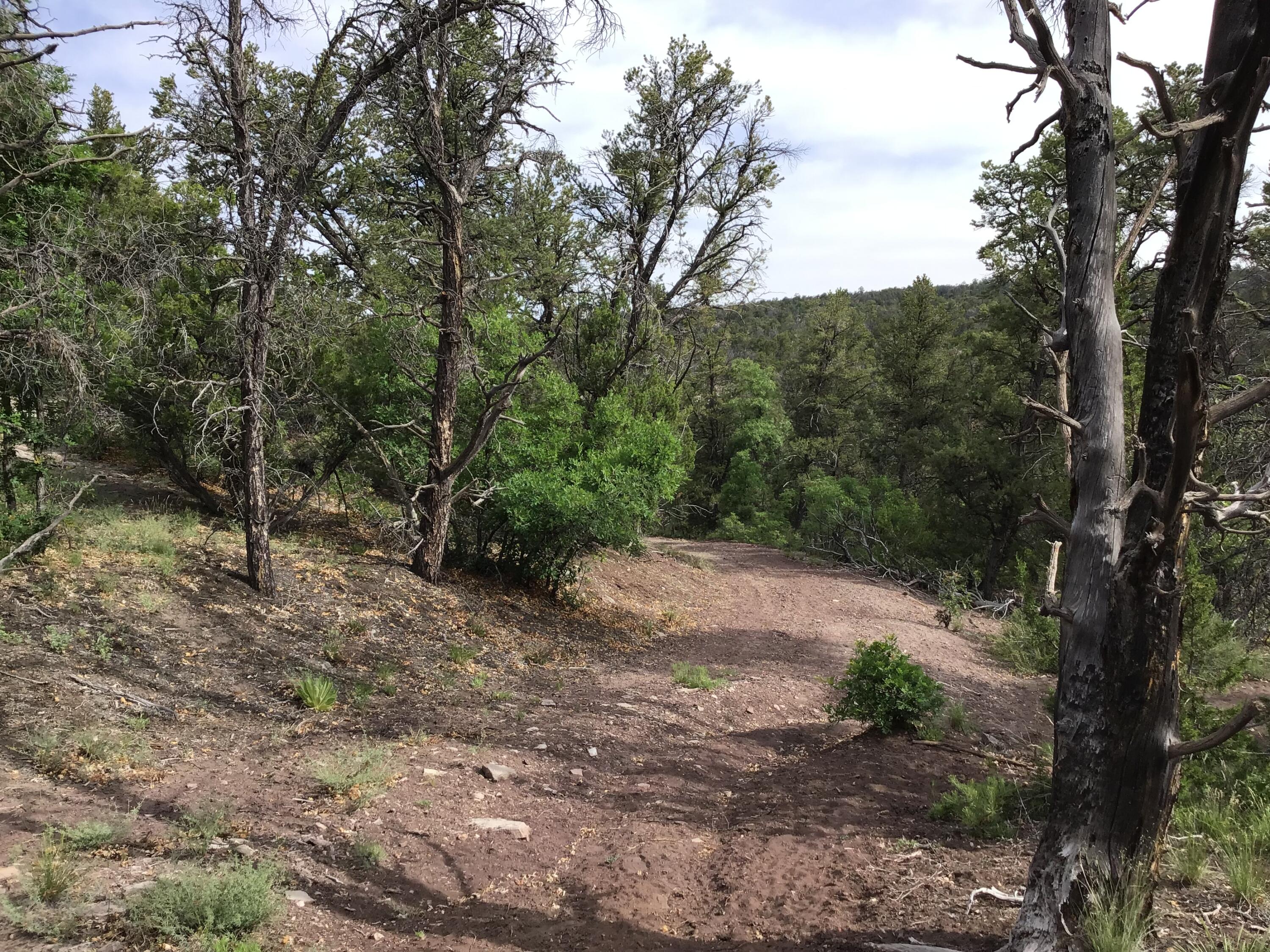 Photo 7 — Lot 23 Sunflower Drive