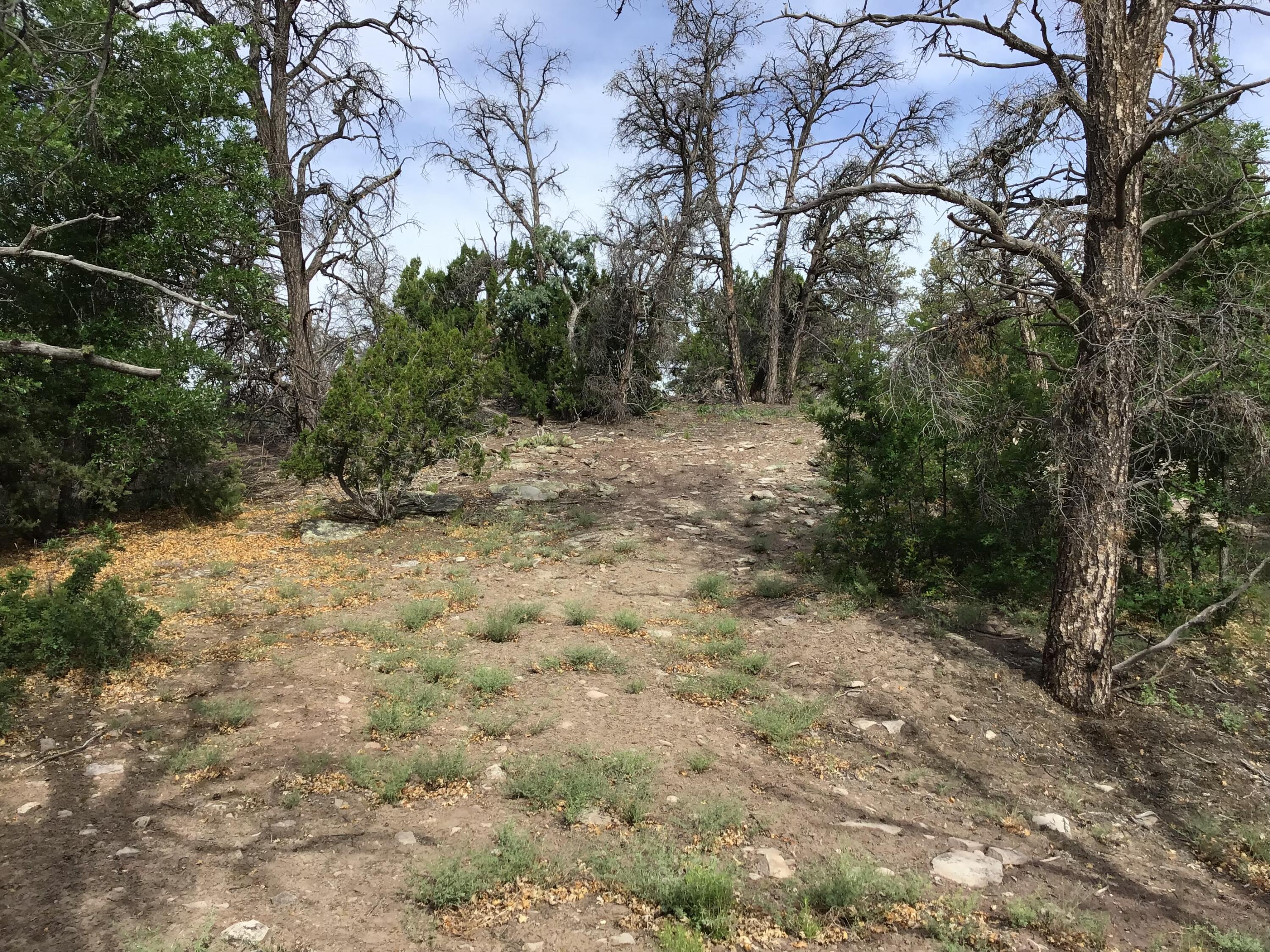Photo 8 — Lot 23 Sunflower Drive