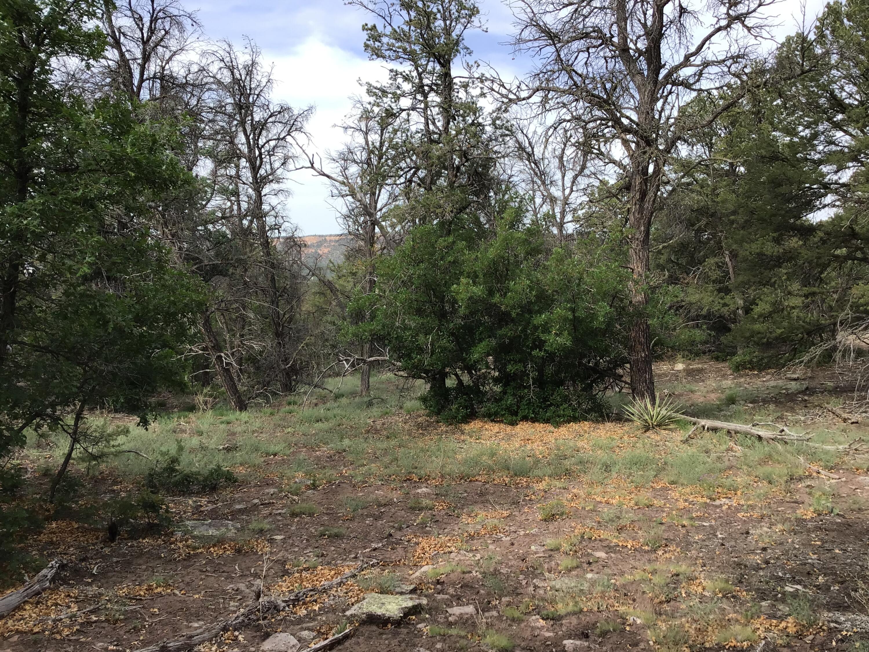Photo 10 — Lot 23 Sunflower Drive