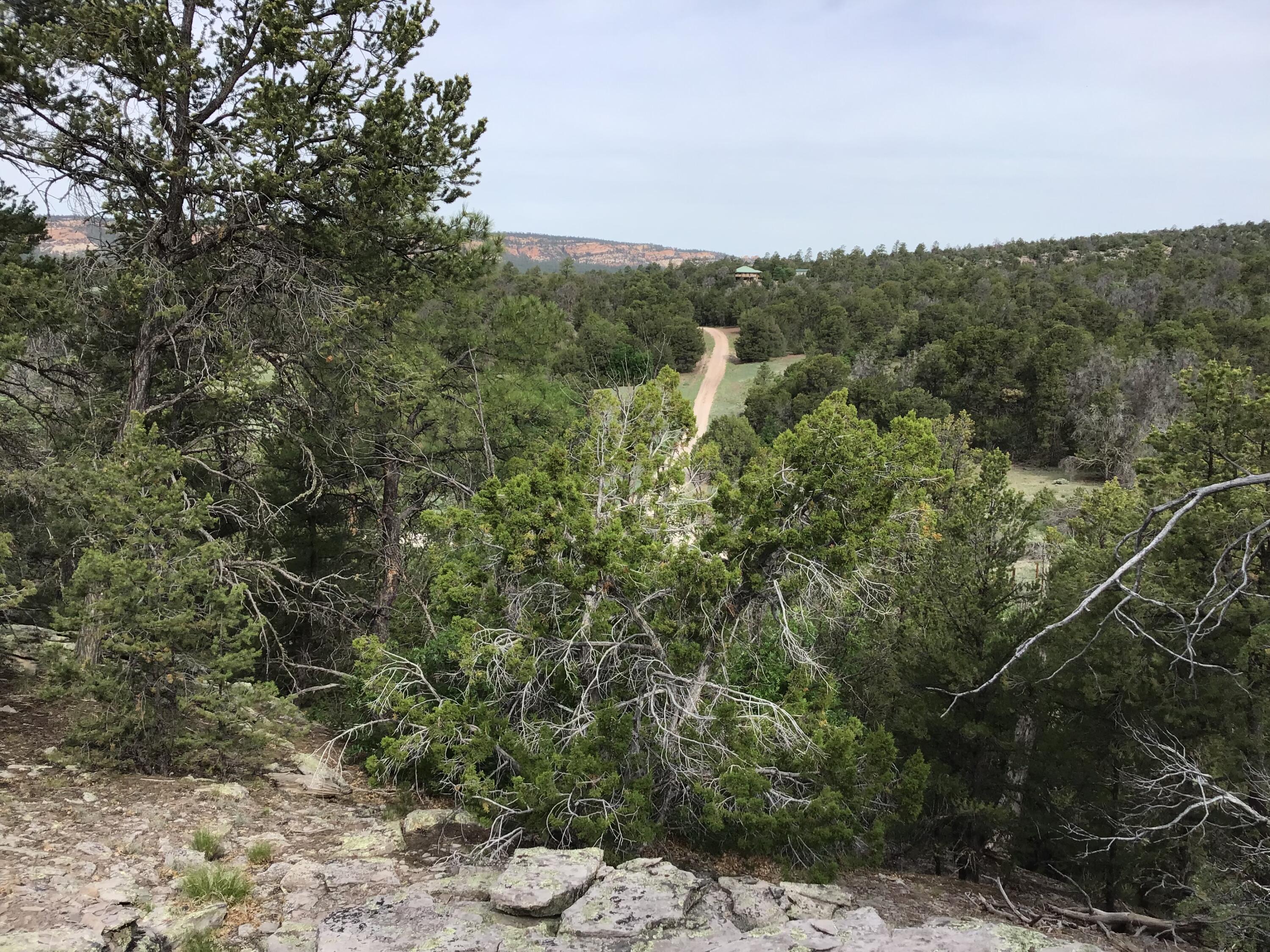 Photo 11 — Lot 23 Sunflower Drive