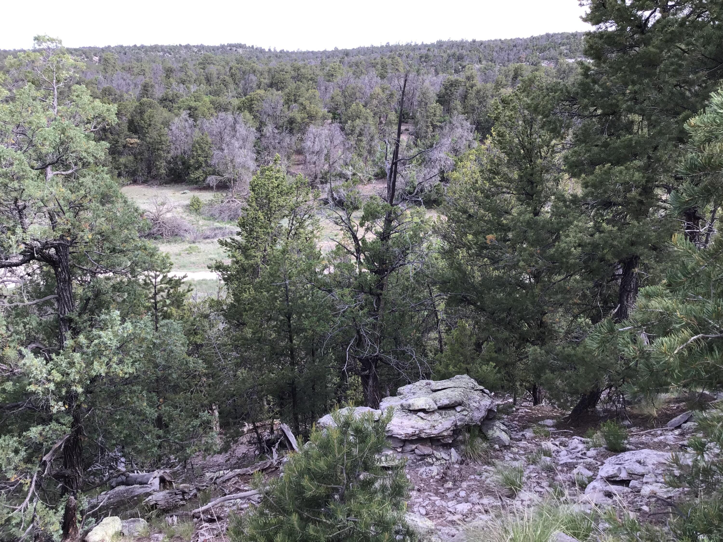 Photo 12 — Lot 23 Sunflower Drive