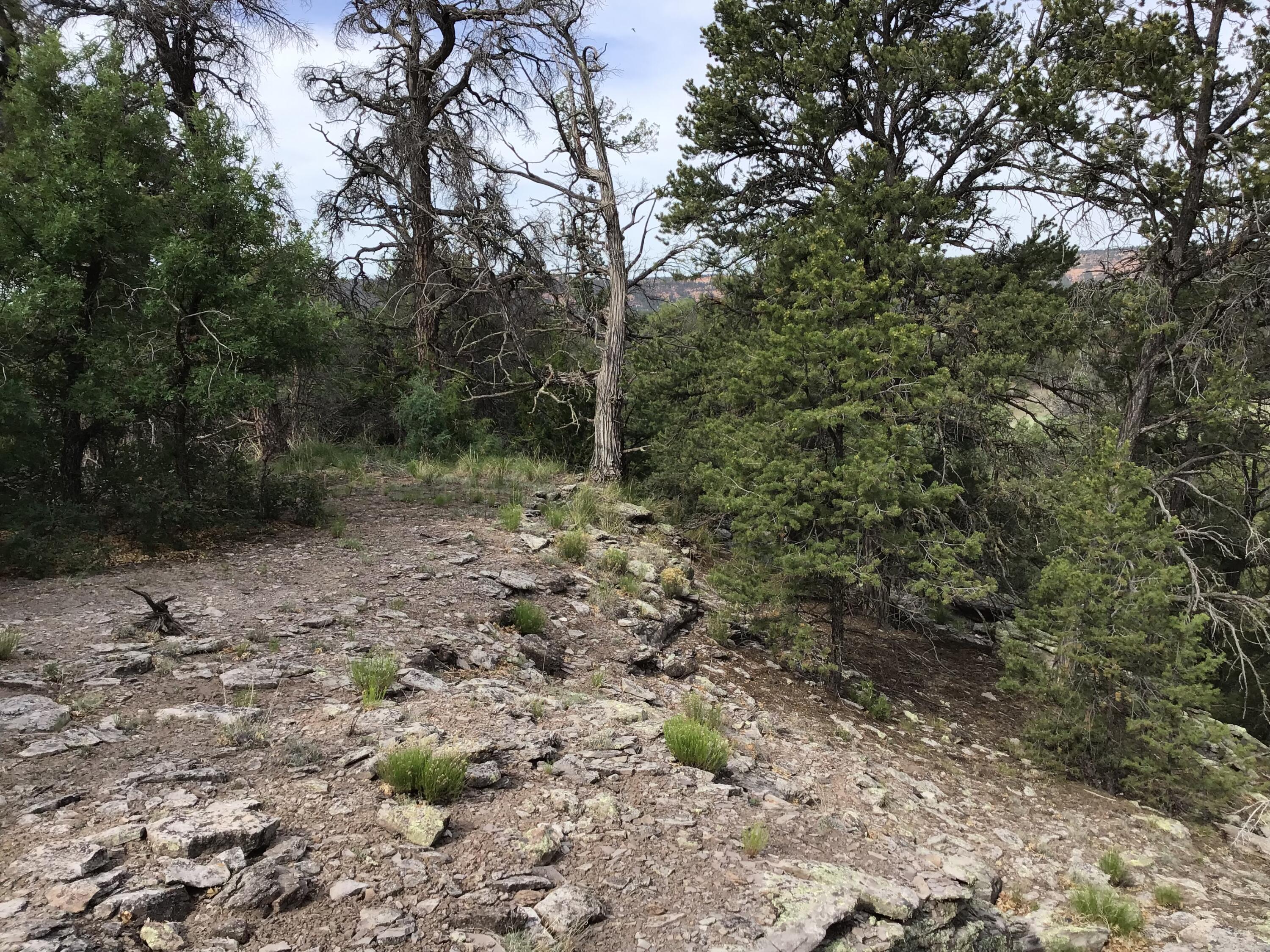 Photo 13 — Lot 23 Sunflower Drive
