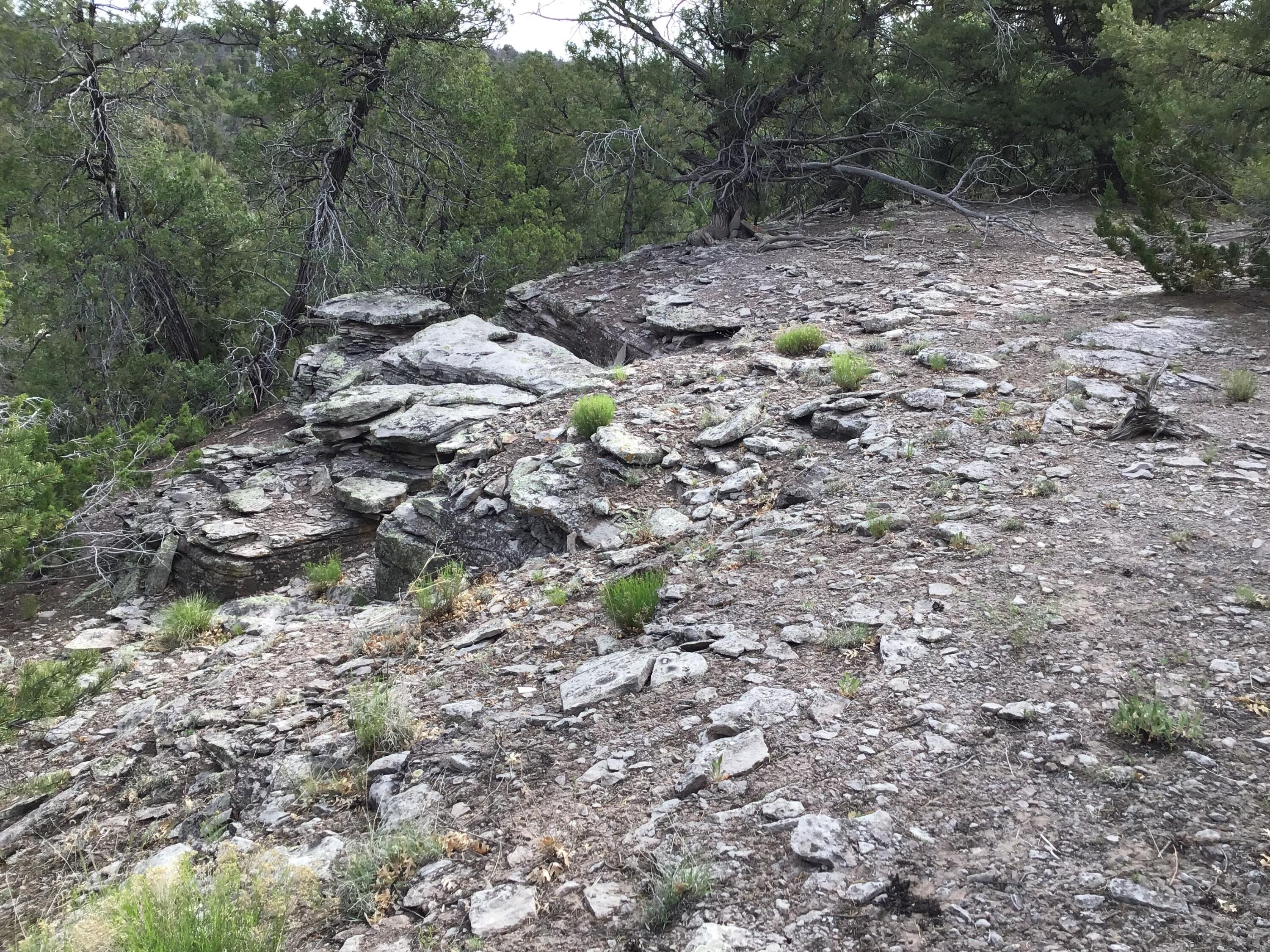 Photo 14 — Lot 23 Sunflower Drive