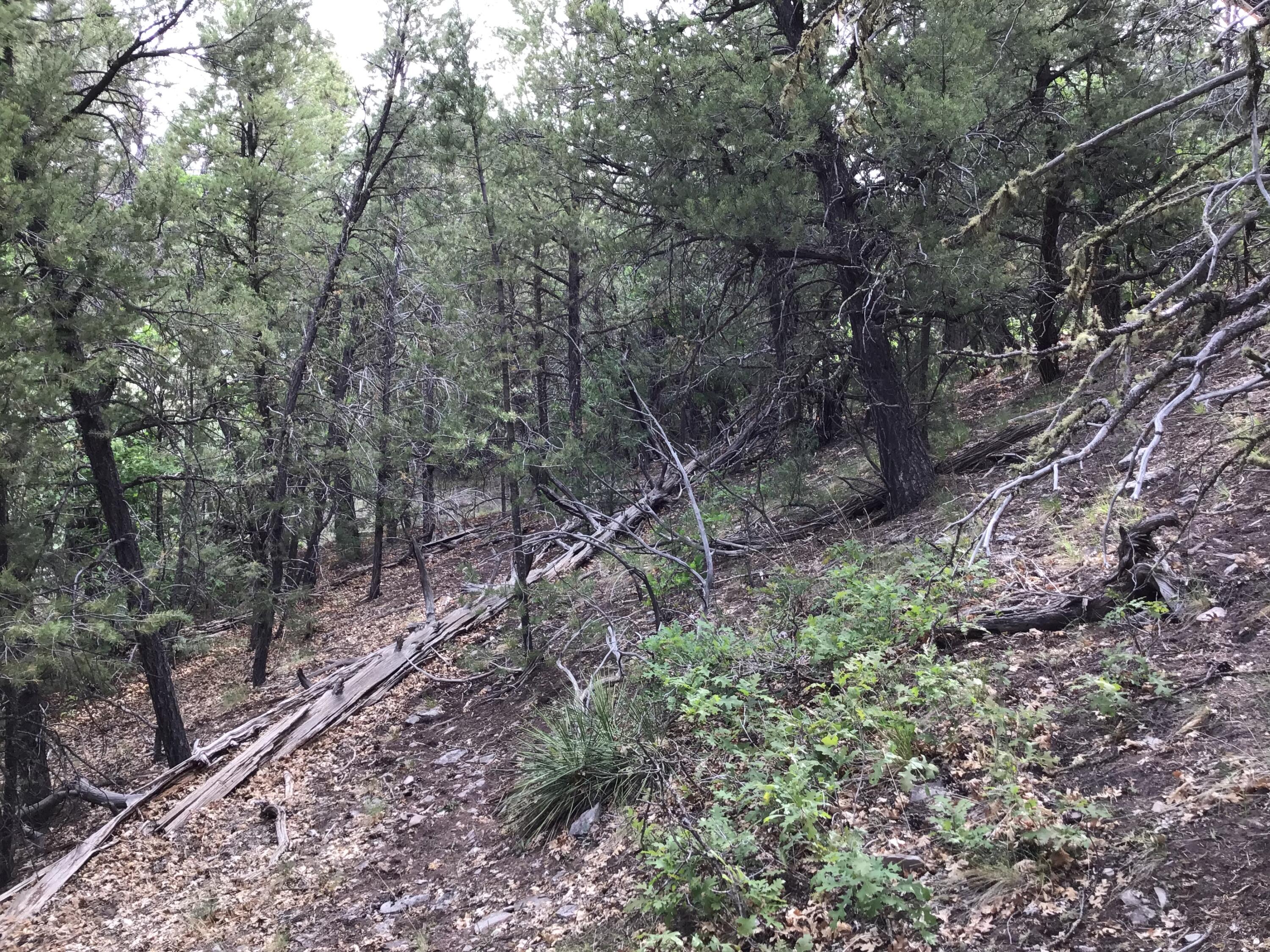 Photo 15 — Lot 23 Sunflower Drive