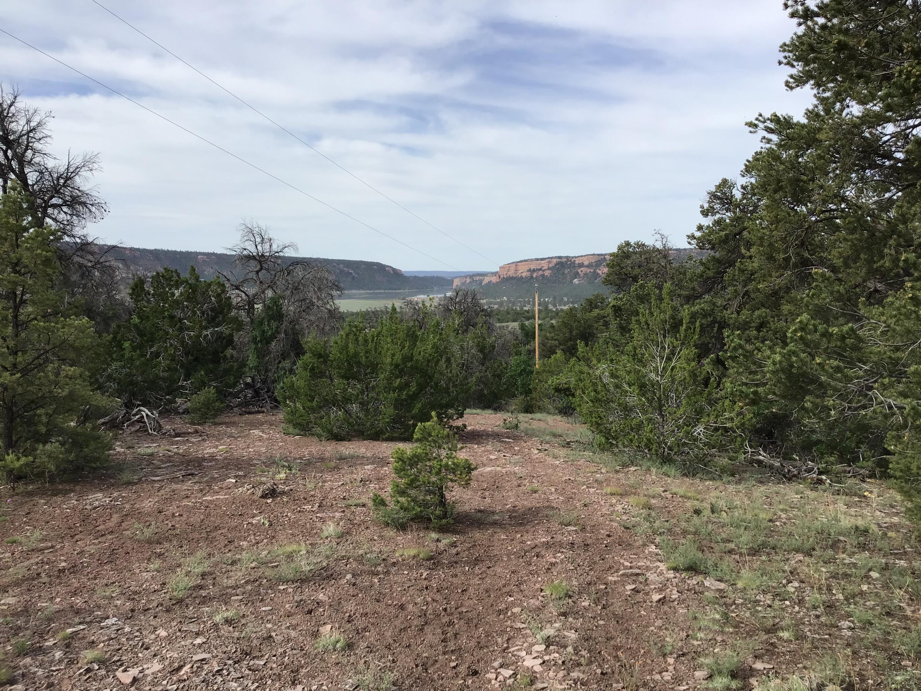 Photo 16 — Lot 23 Sunflower Drive