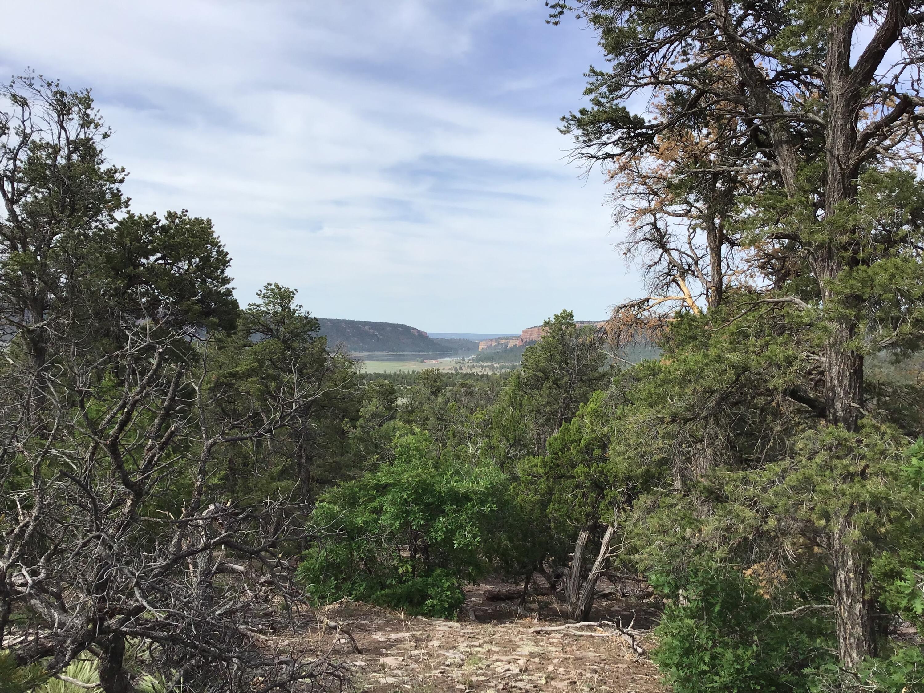 Photo 17 — Lot 23 Sunflower Drive
