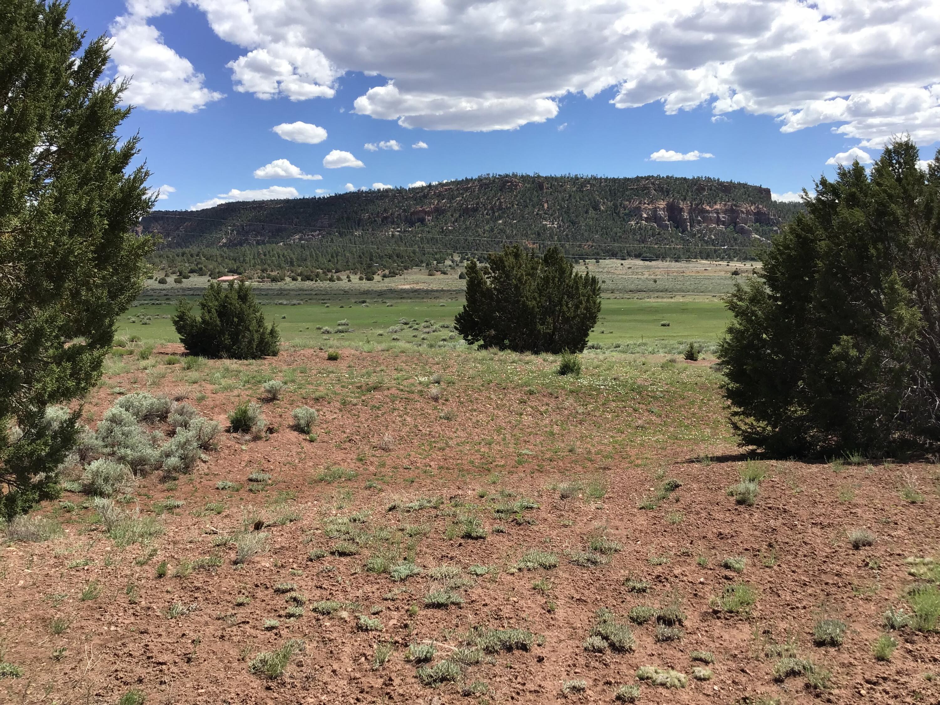 Photo 14 — Lot D Timberlake Road