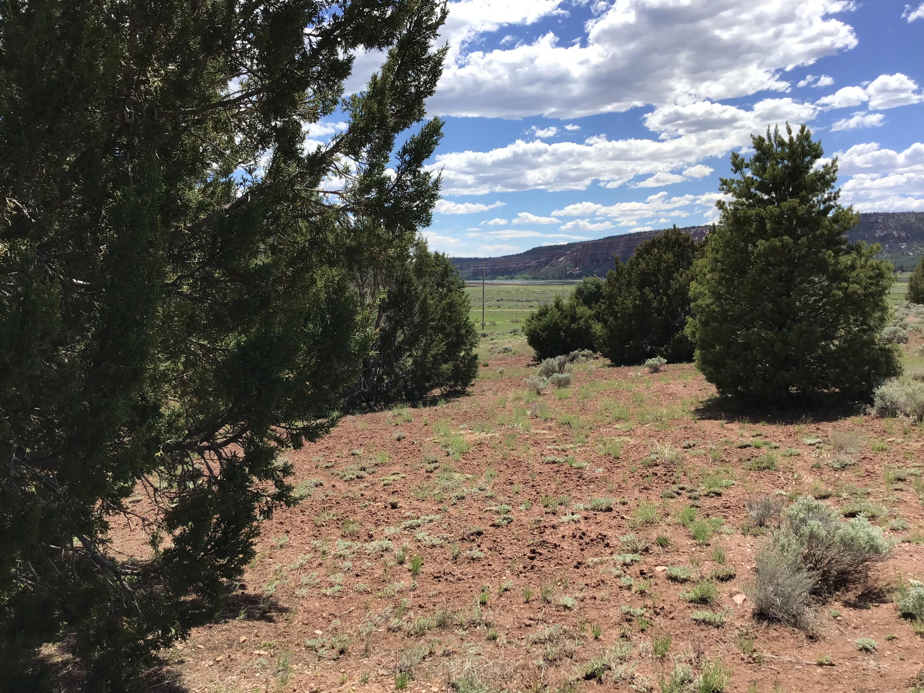 Photo 15 — Lot D Timberlake Road