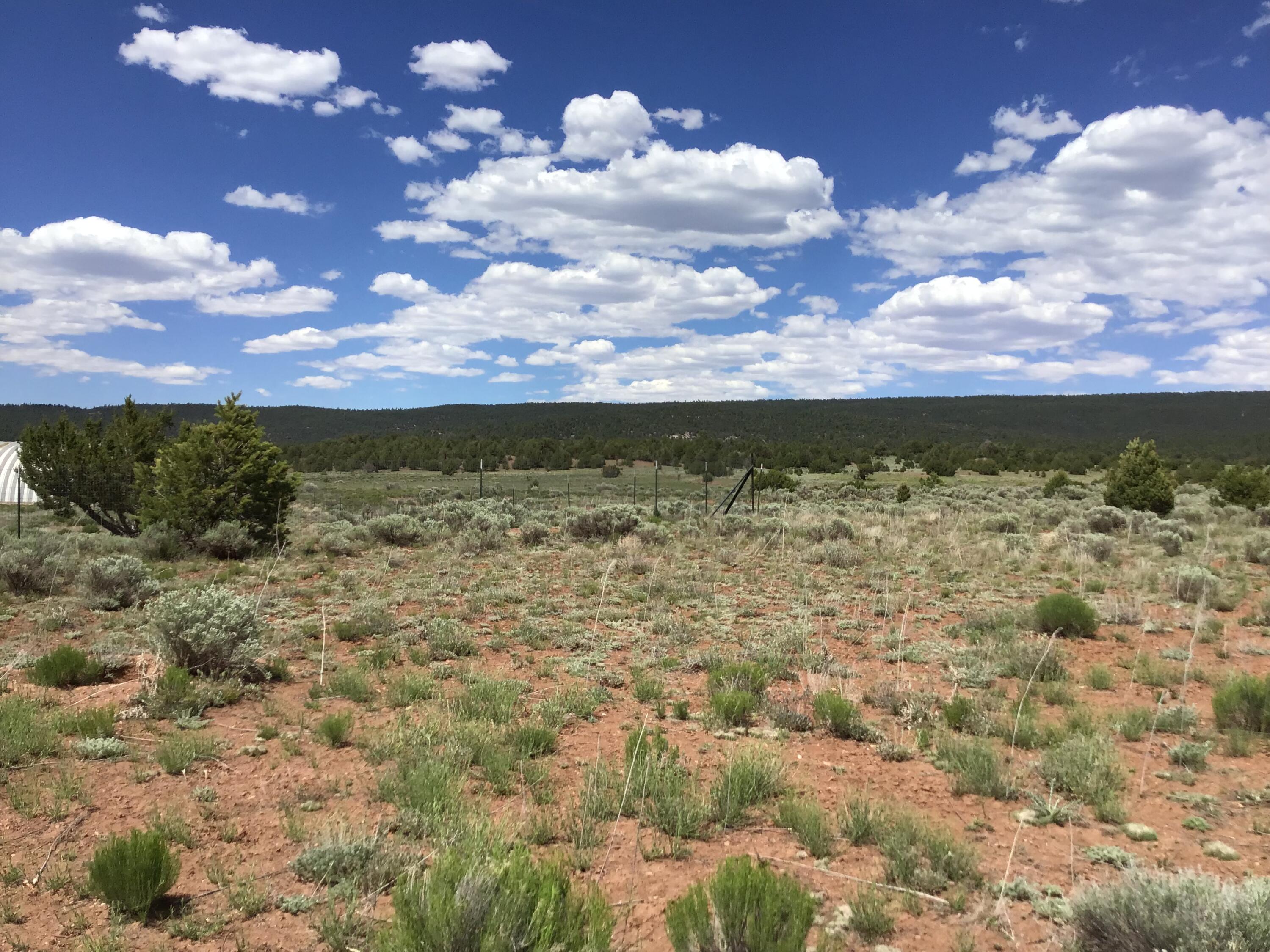 Photo 16 — Lot D Timberlake Road