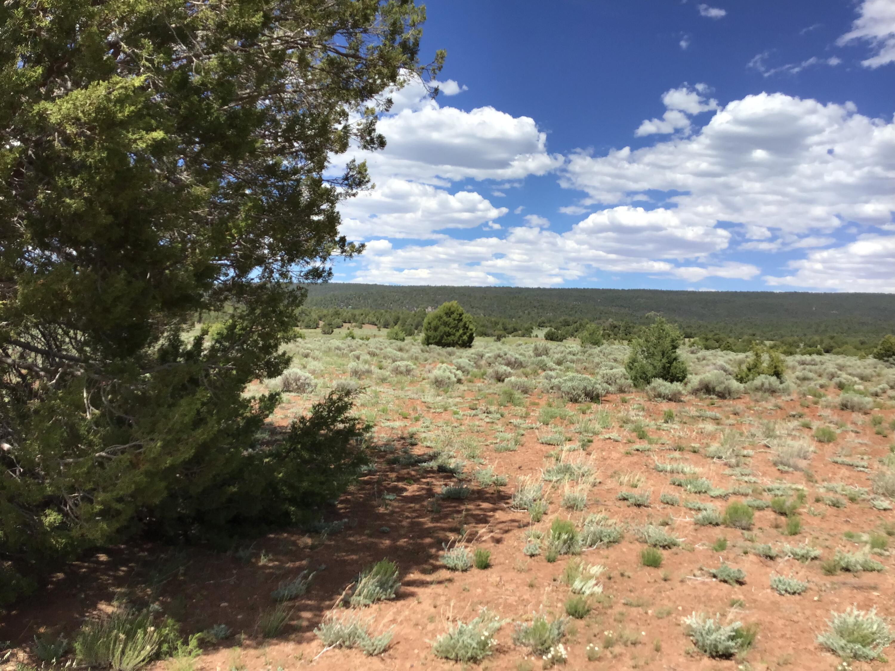 Photo 17 — Lot D Timberlake Road