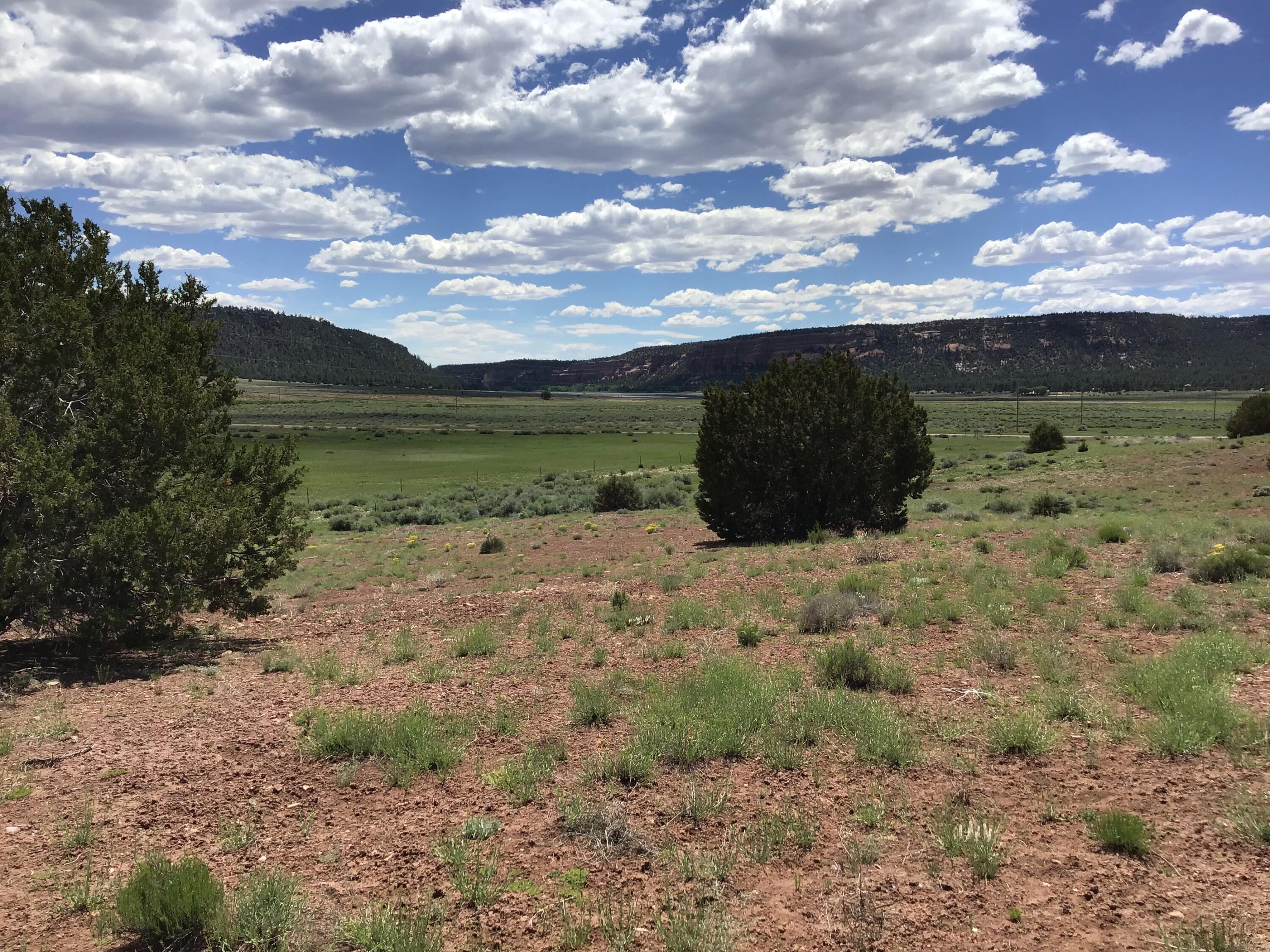 Photo 18 — Lot D Timberlake Road