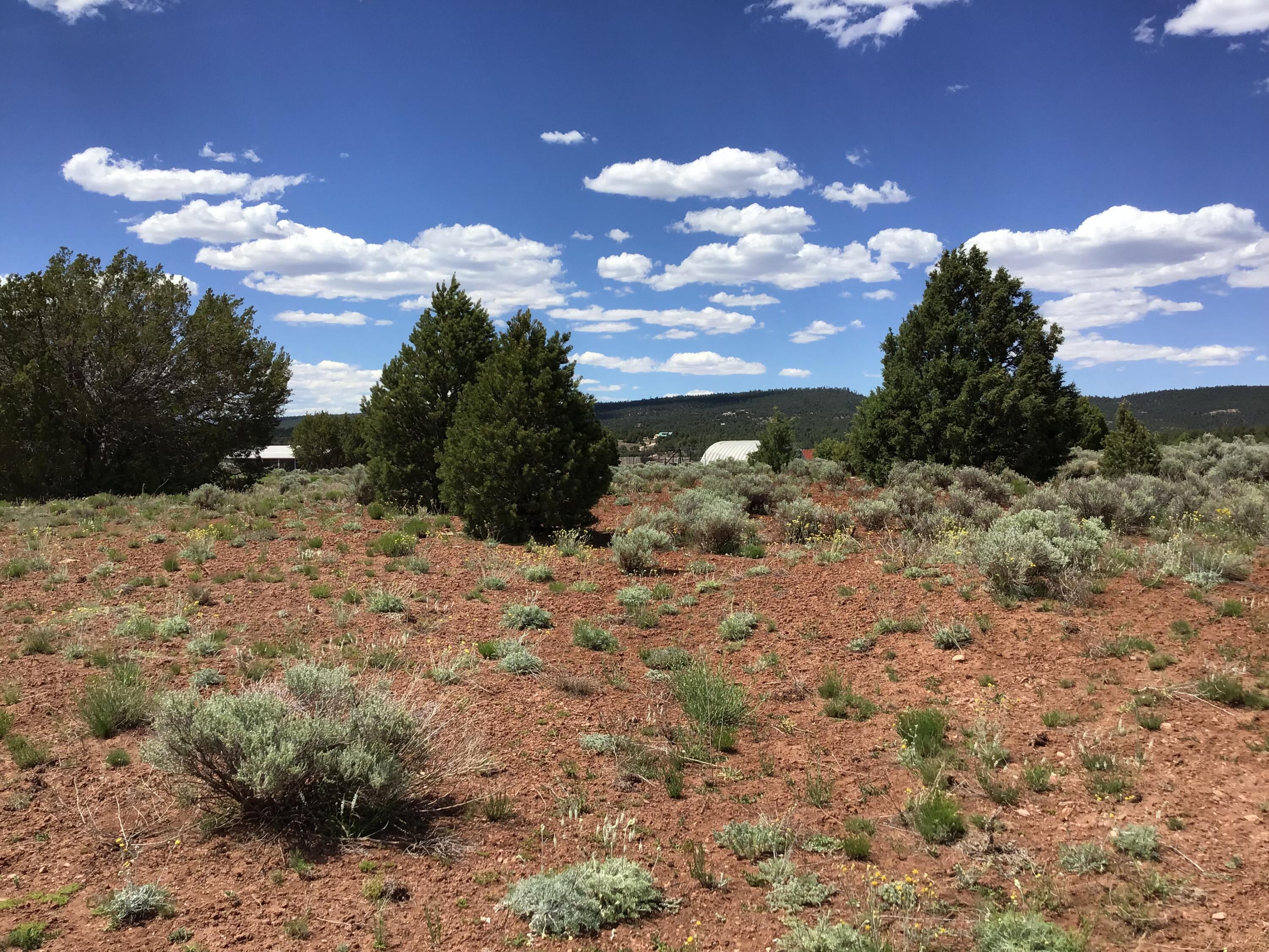 Photo 19 — Lot D Timberlake Road