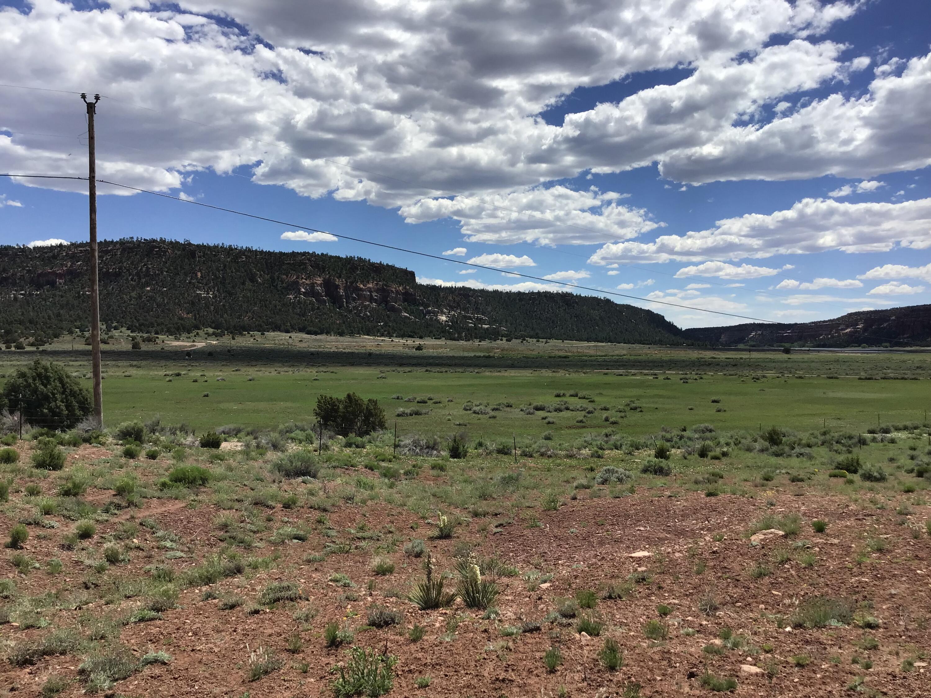 Photo 20 — Lot D Timberlake Road