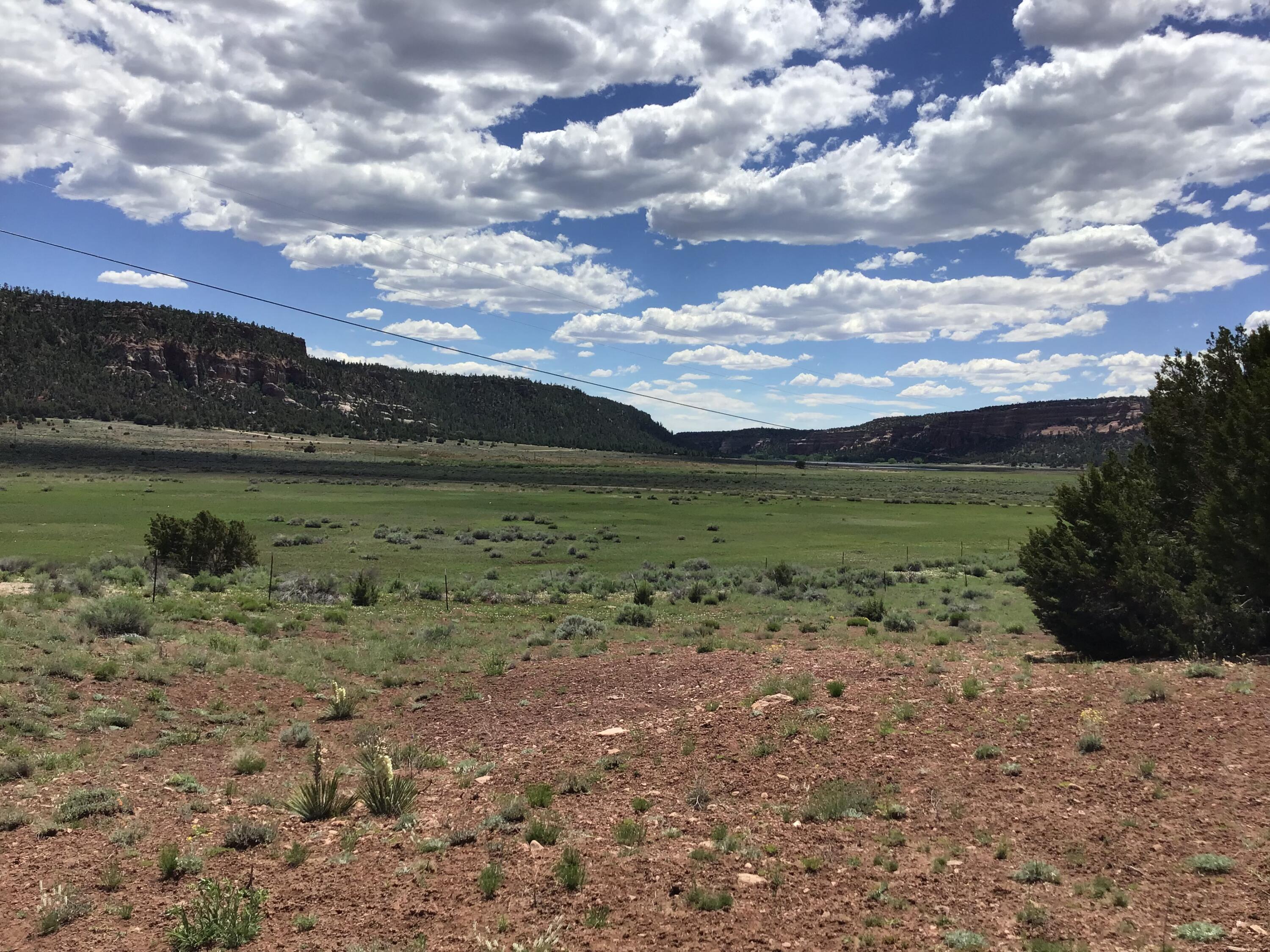 Photo 7 — Lot D Timberlake Road