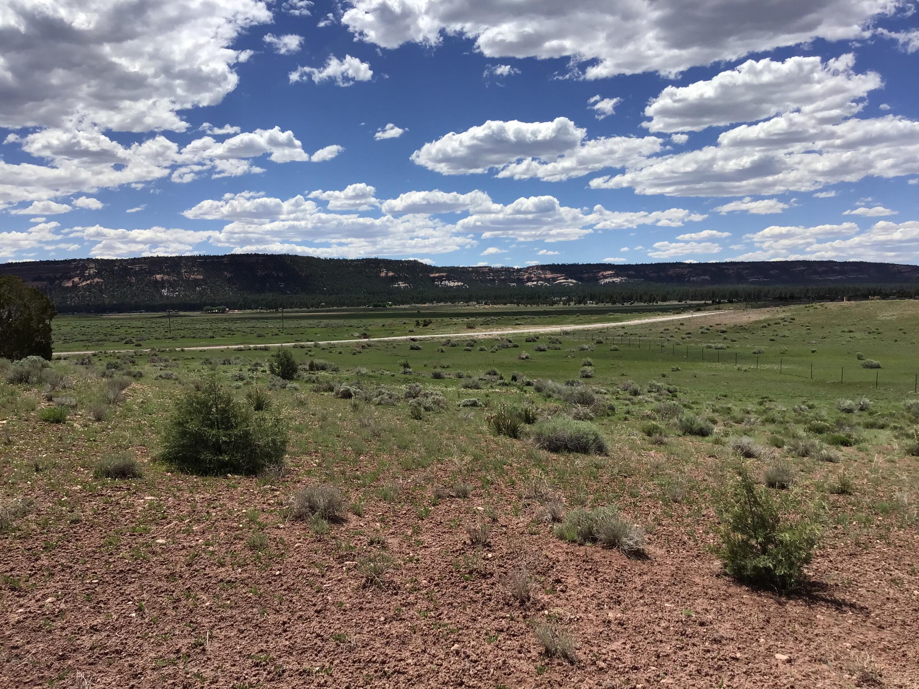 Photo 8 — Lot D Timberlake Road