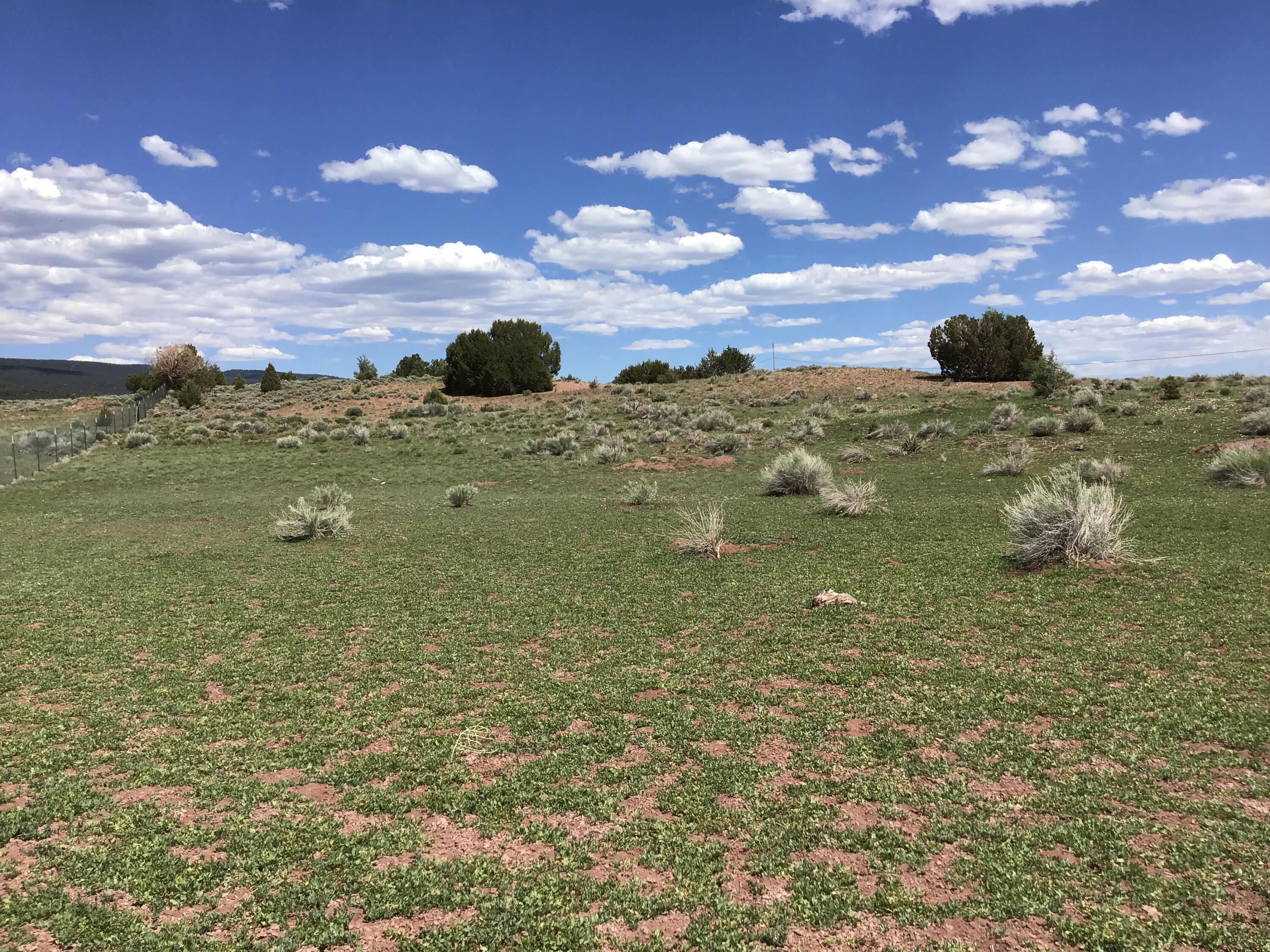 Photo 2 — Lot D Timberlake Road