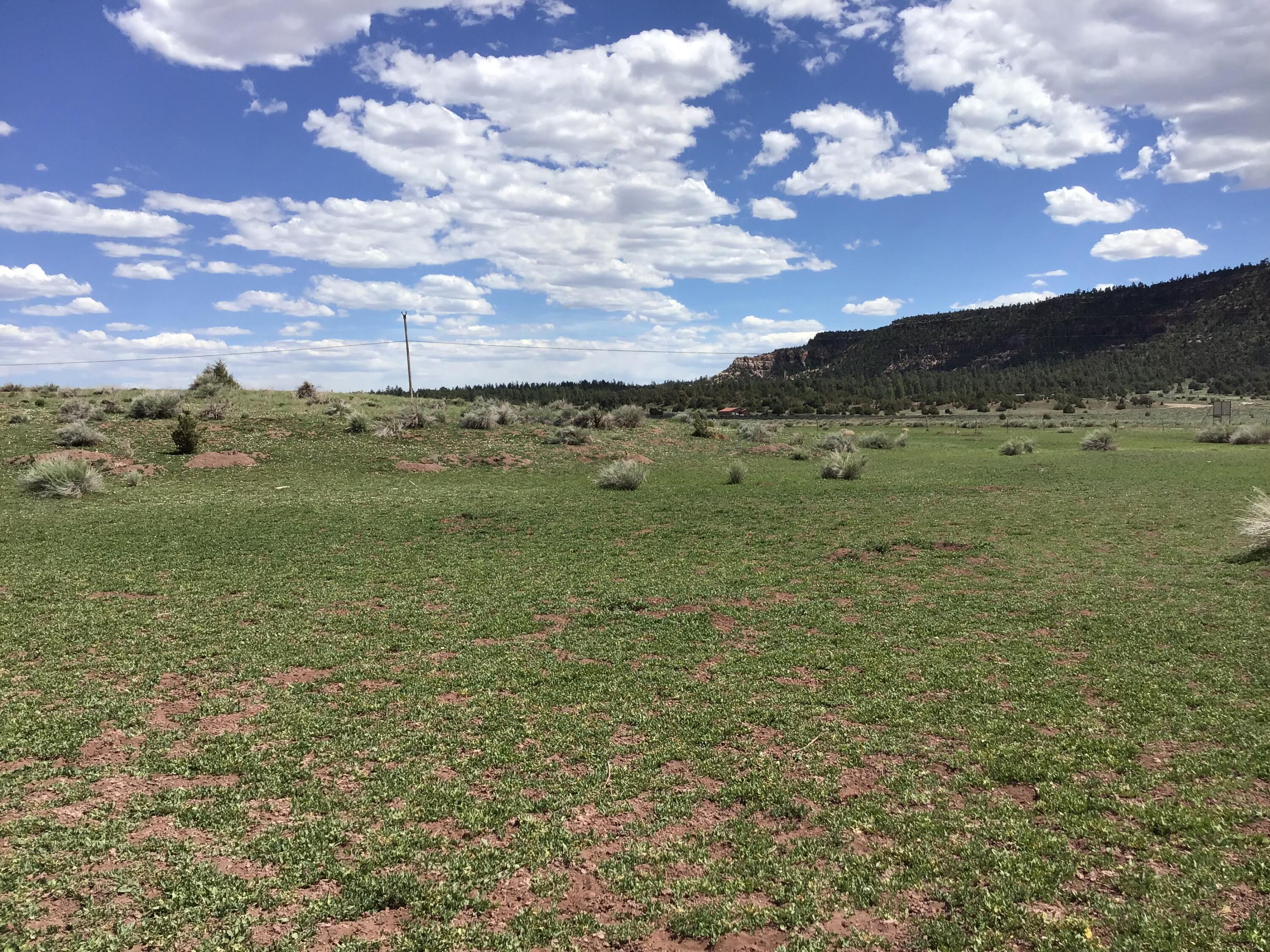 Photo 3 — Lot D Timberlake Road