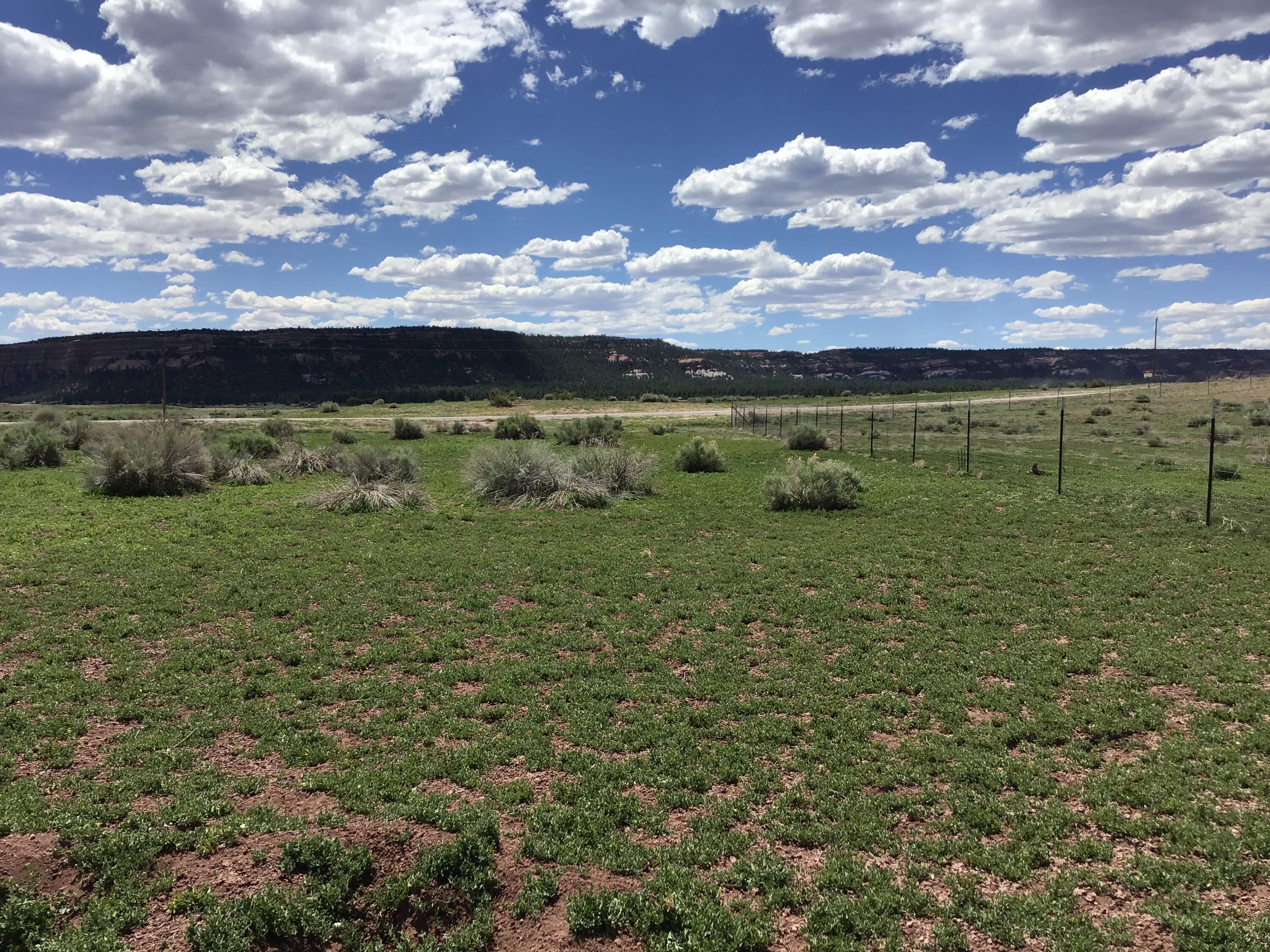 Photo 4 — Lot D Timberlake Road