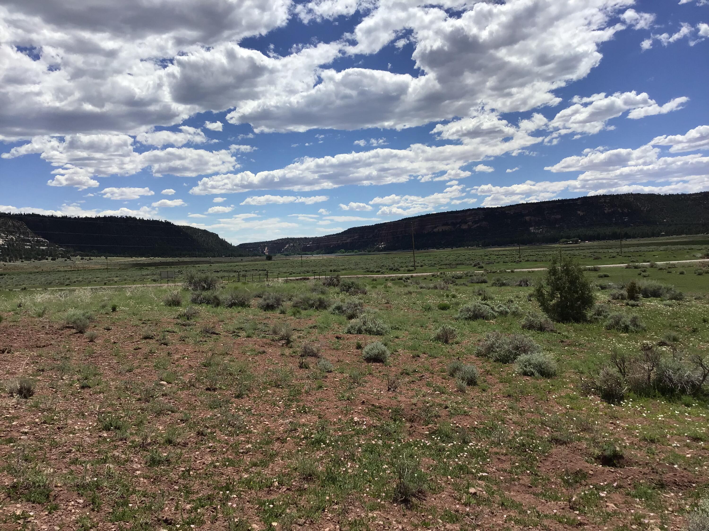 Photo 5 — Lot D Timberlake Road