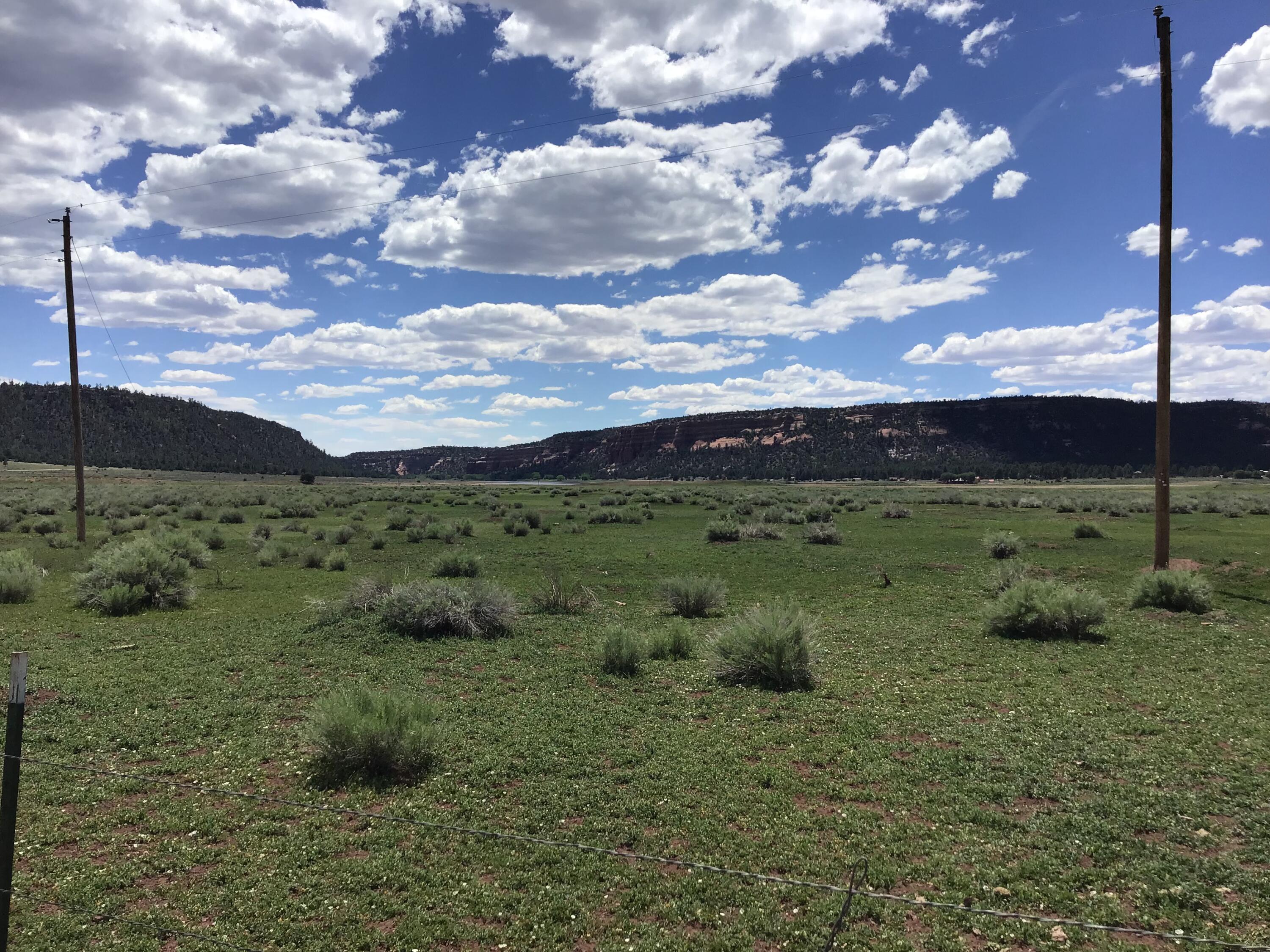 Photo 9 — Lot D Timberlake Road