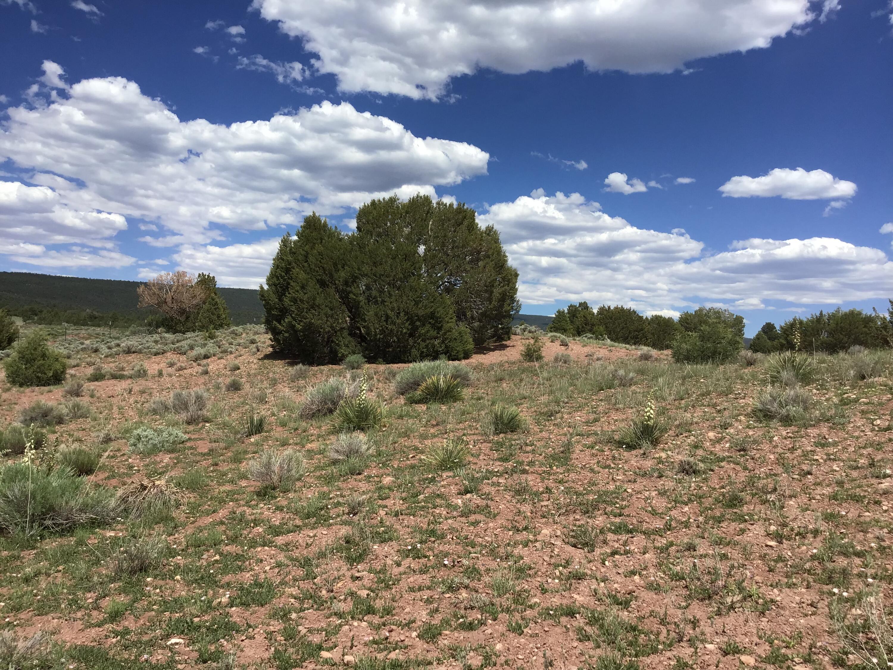 Photo 10 — Lot D Timberlake Road