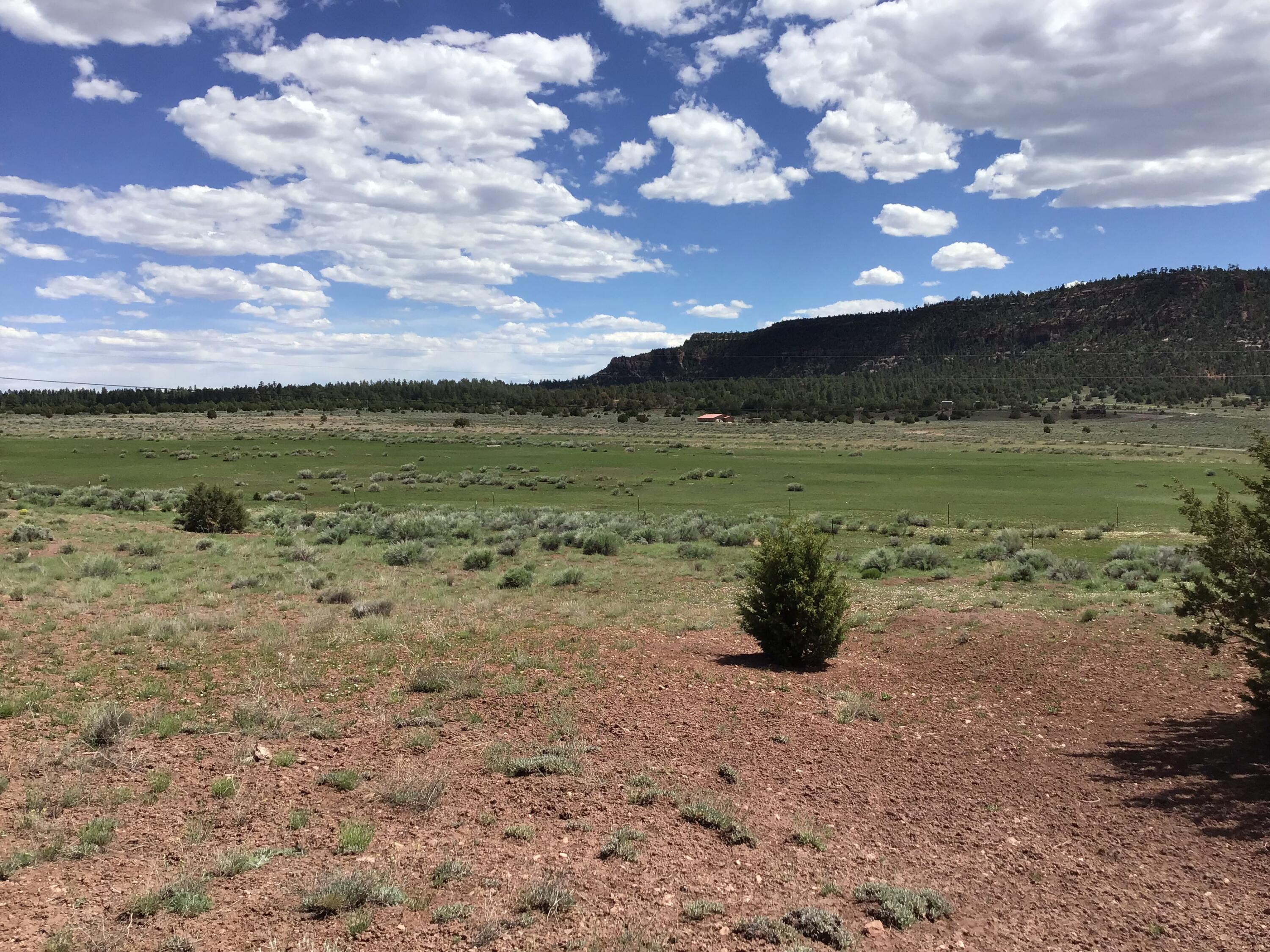 Photo 11 — Lot D Timberlake Road