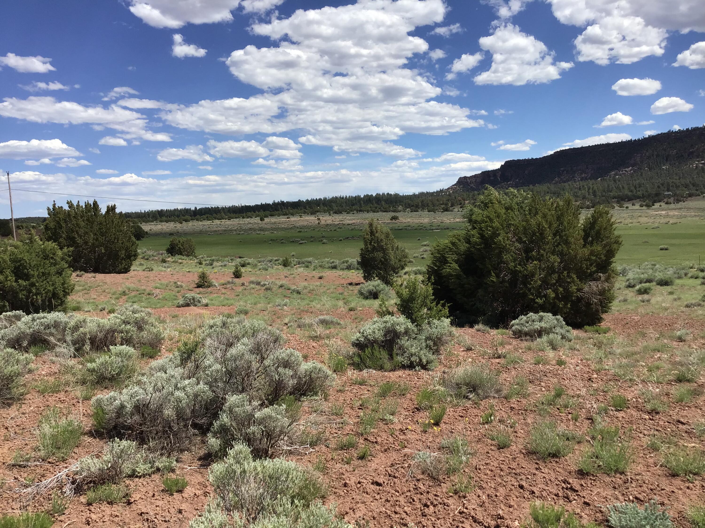 Photo 12 — Lot D Timberlake Road