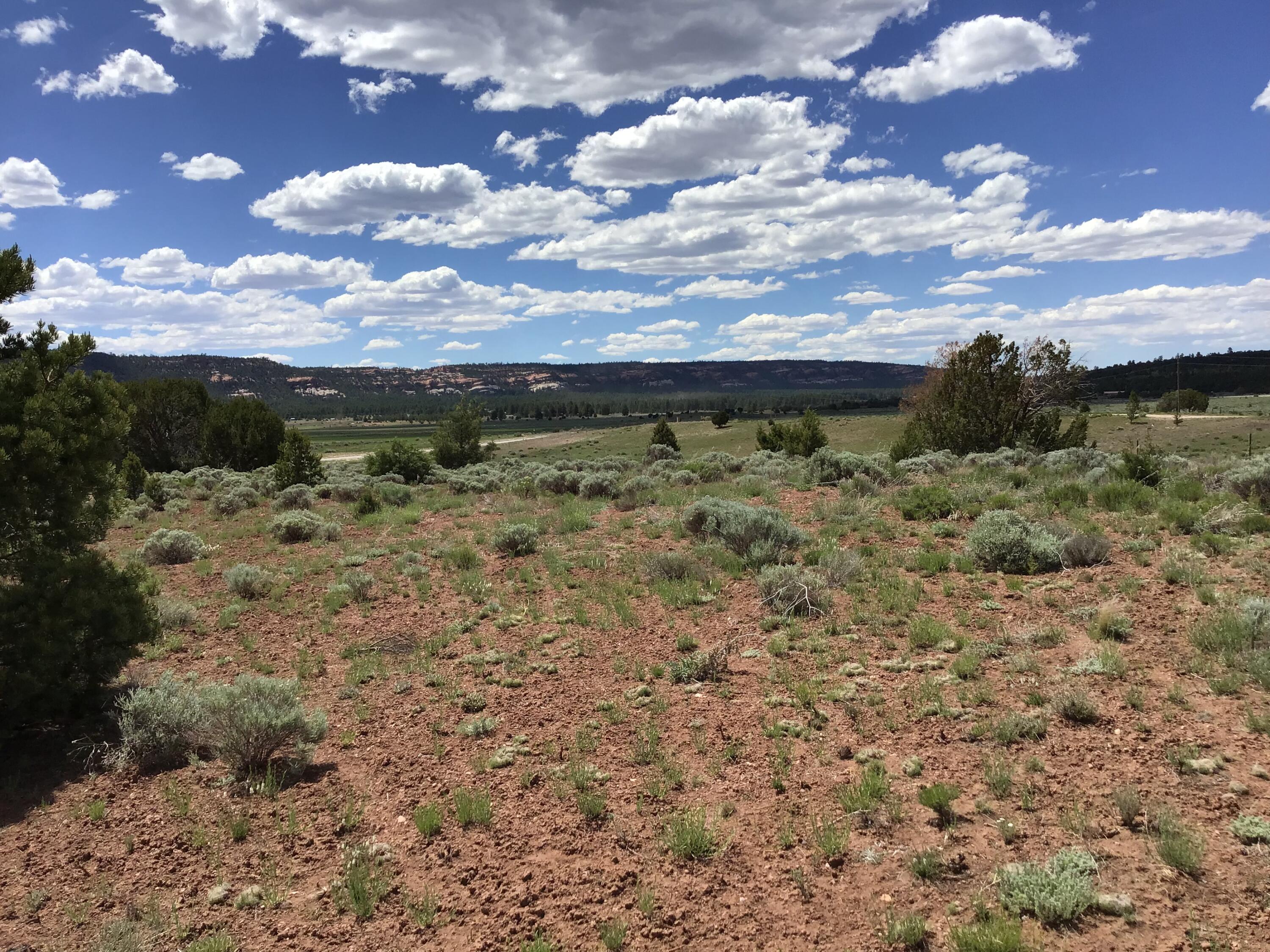 Photo 13 — Lot D Timberlake Road
