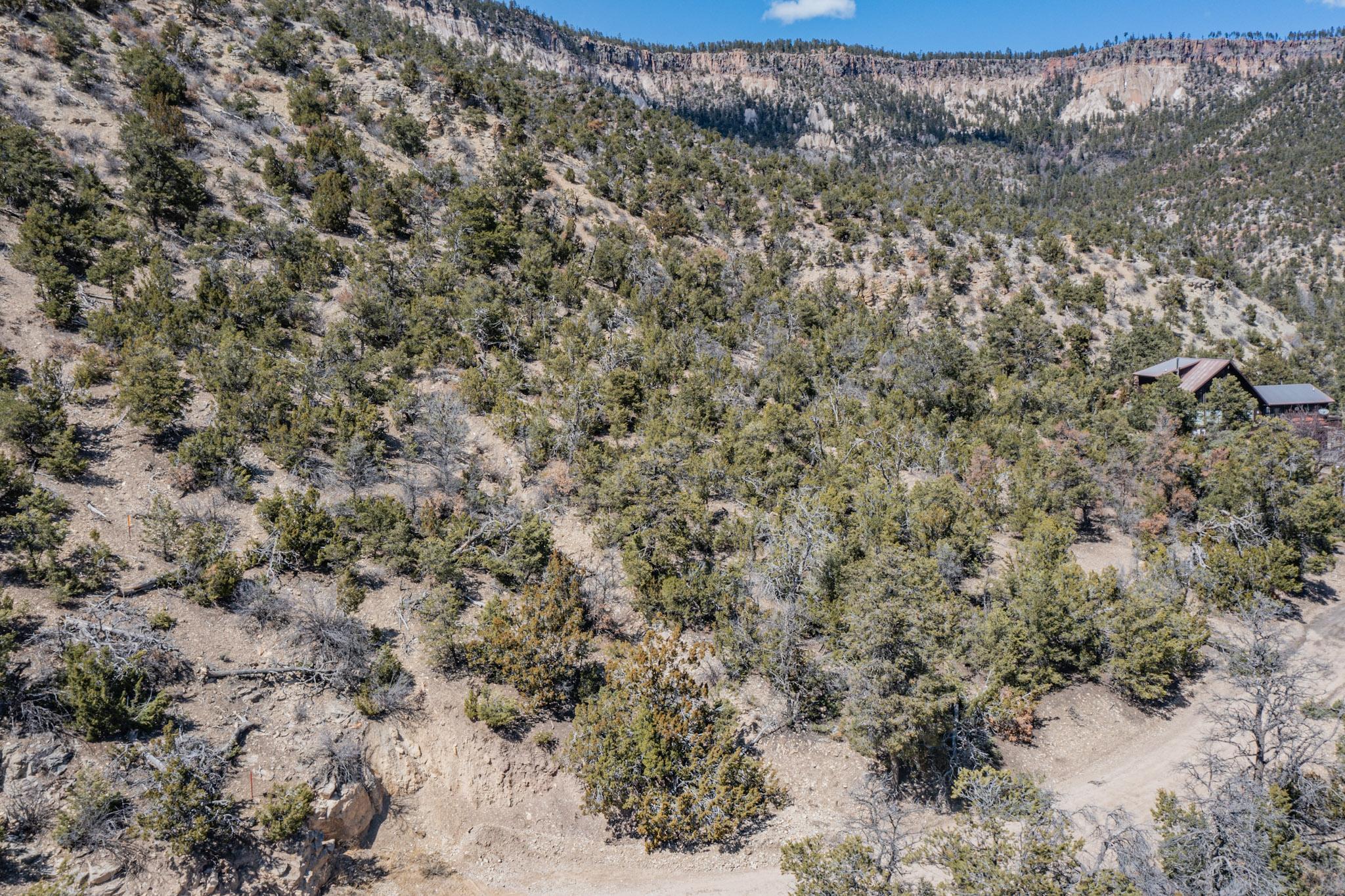 Photo 3 —  TBD Banco Bonito Road Lot 45A