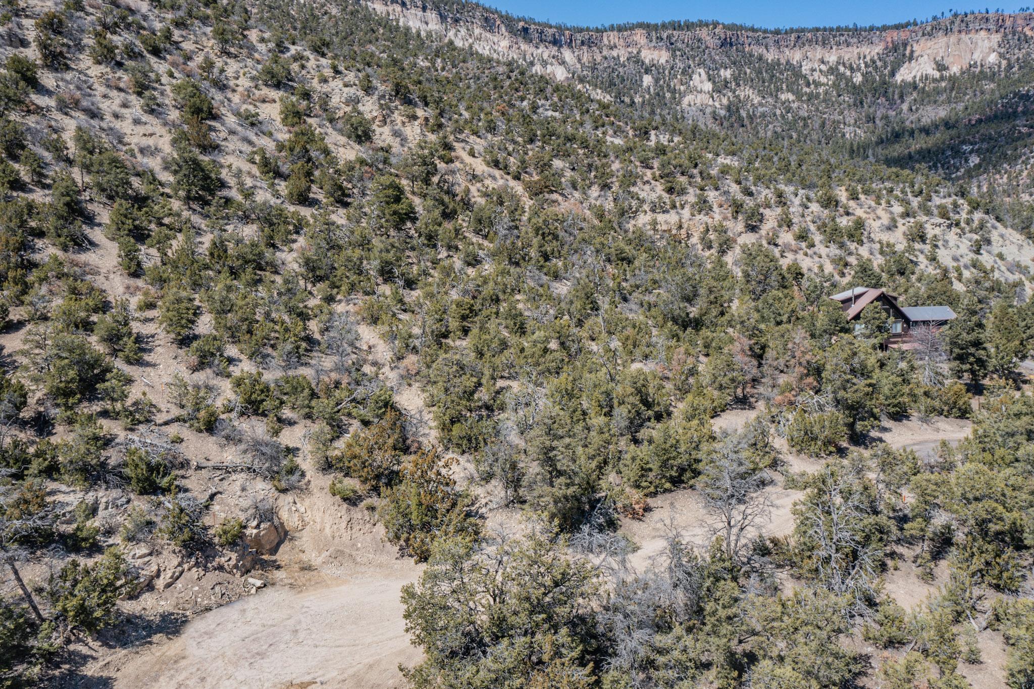 Photo 5 —  TBD Banco Bonito Road Lot 45A