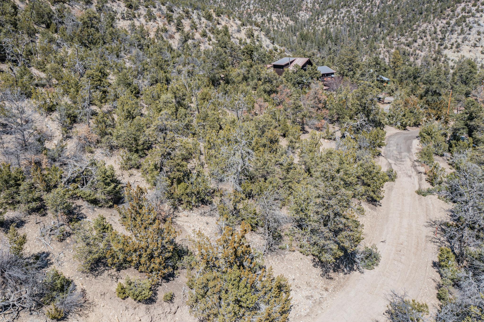 Photo 6 —  TBD Banco Bonito Road Lot 45A