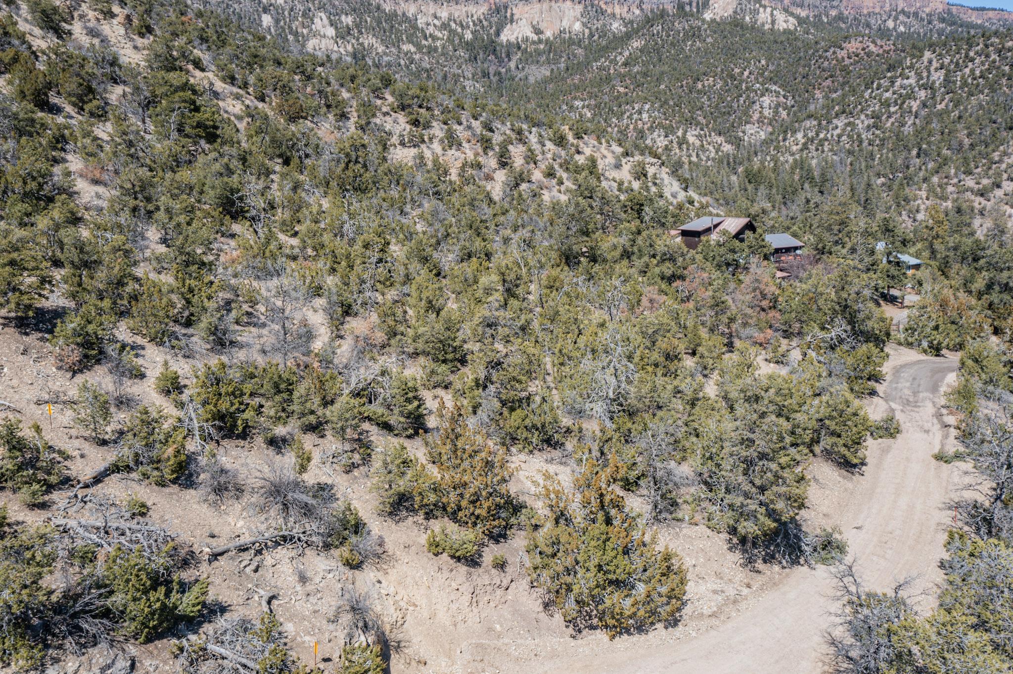 Photo 8 —  TBD Banco Bonito Road Lot 45A