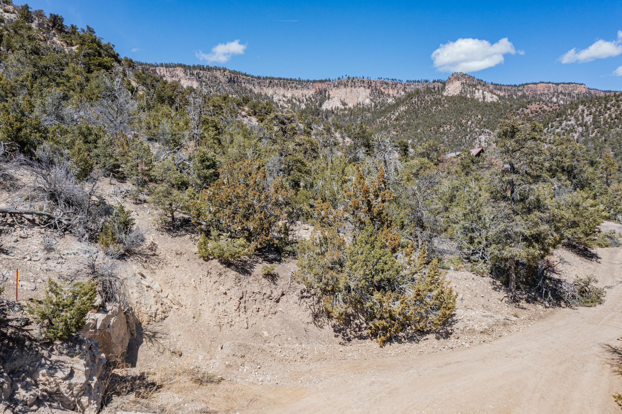 Photo 9 —  TBD Banco Bonito Road Lot 45A