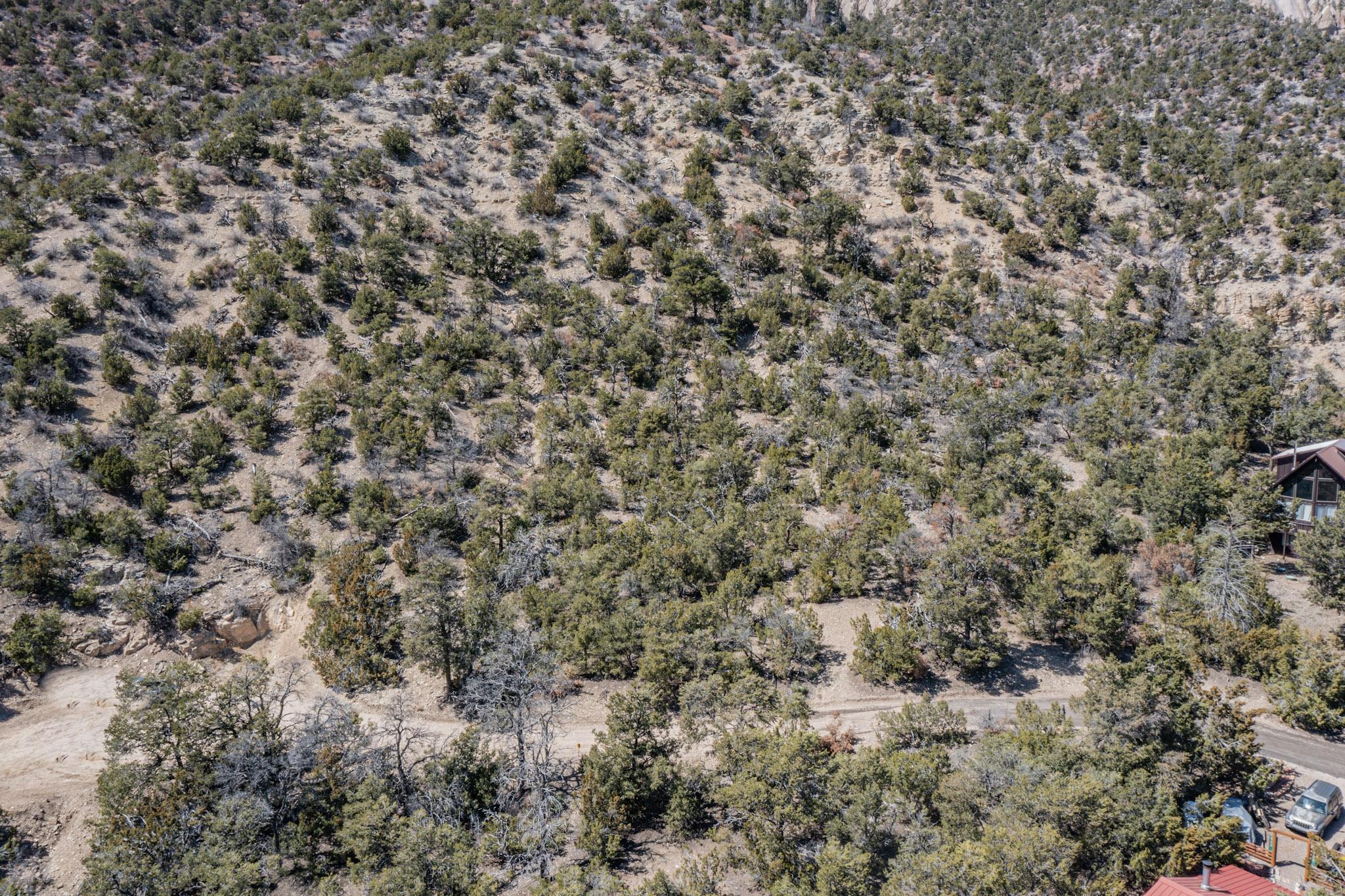 Photo 13 —  TBD Banco Bonito Road Lot 45A