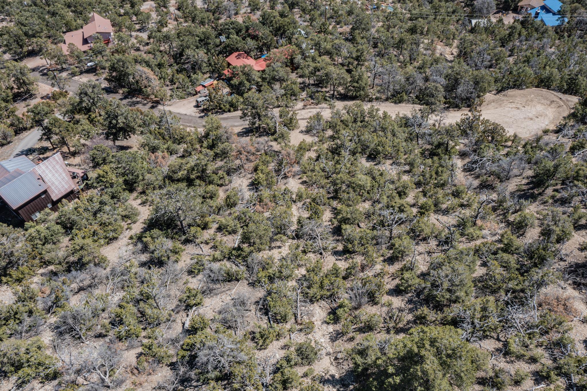 Photo 17 —  TBD Banco Bonito Road Lot 45A