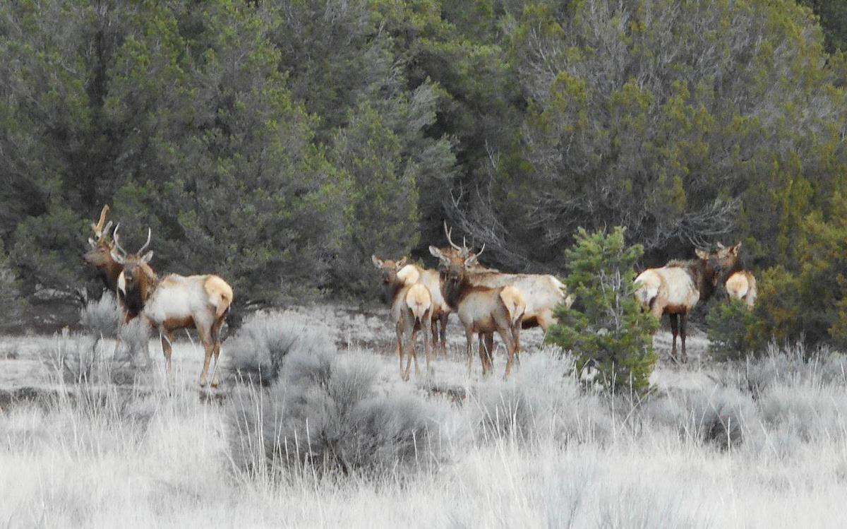 Photo 8 — Lot 10 Sagebrush Road