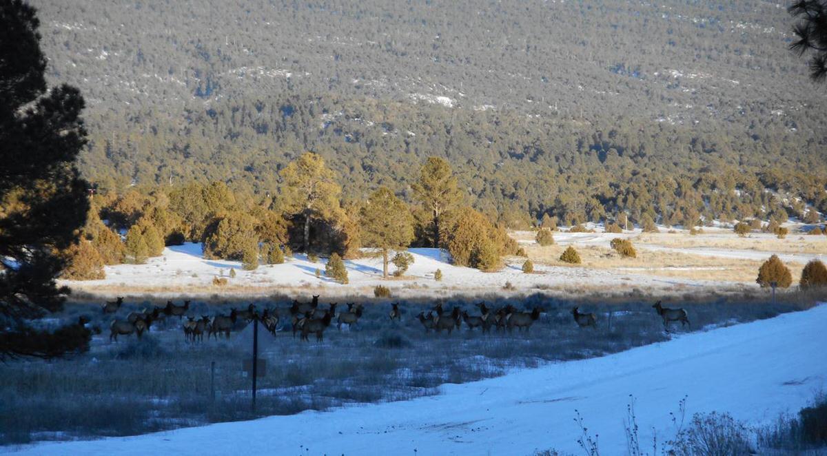 Photo 9 — Lot 10 Sagebrush Road