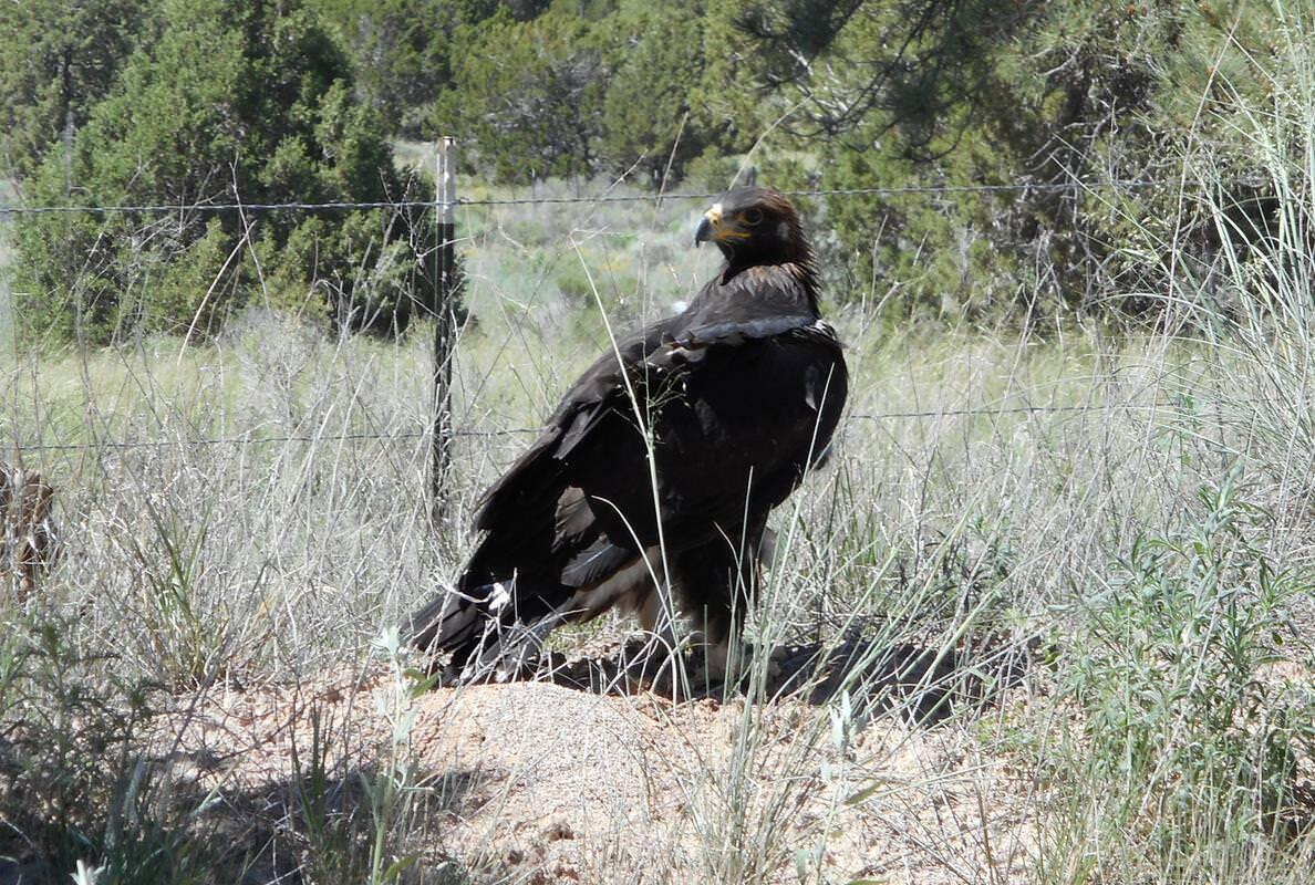 Photo 10 — Lot 10 Sagebrush Road