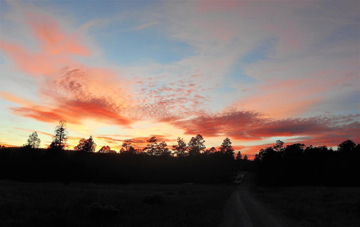 Photo 12 — Lot 10 Sagebrush Road