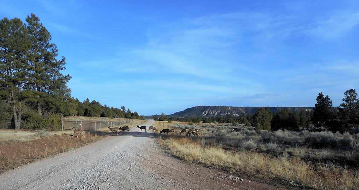 Photo 14 — Lot 10 Sagebrush Road