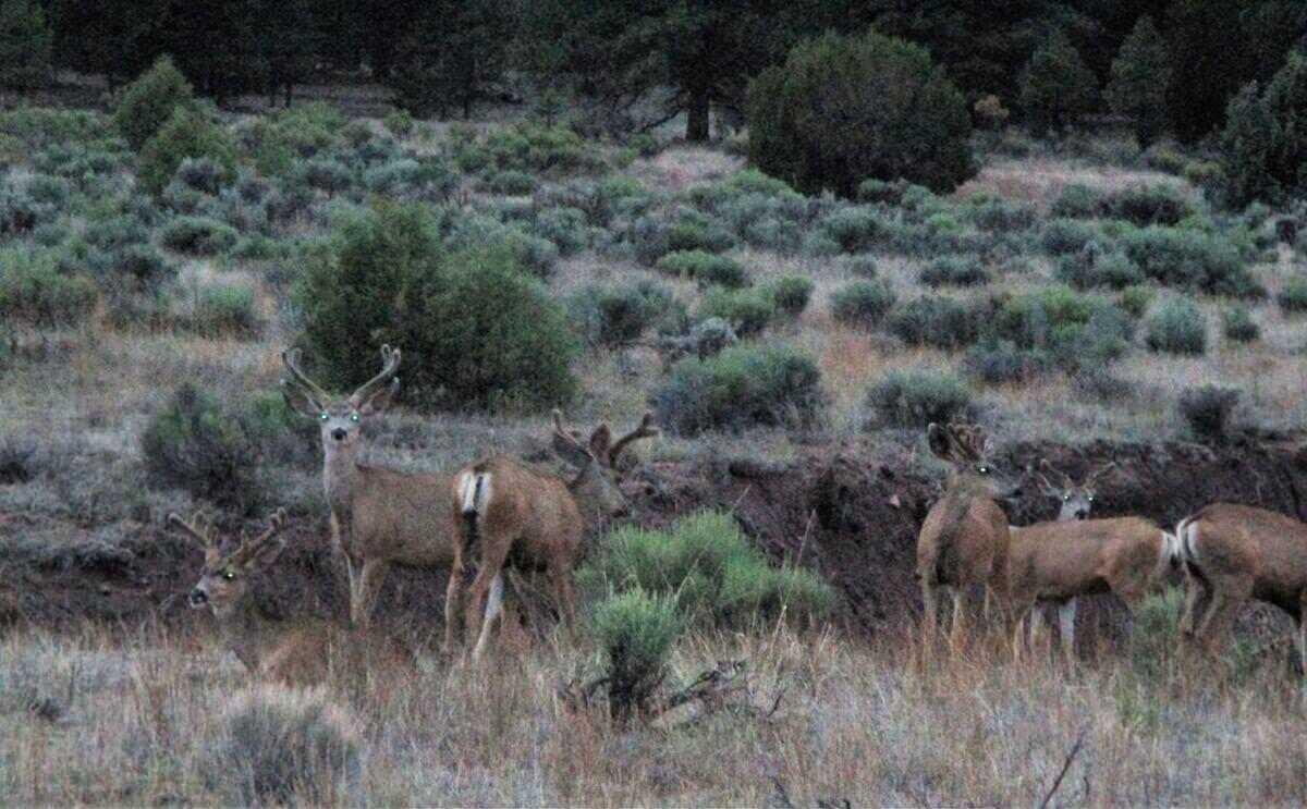 Photo 18 — Lot 10 Sagebrush Road