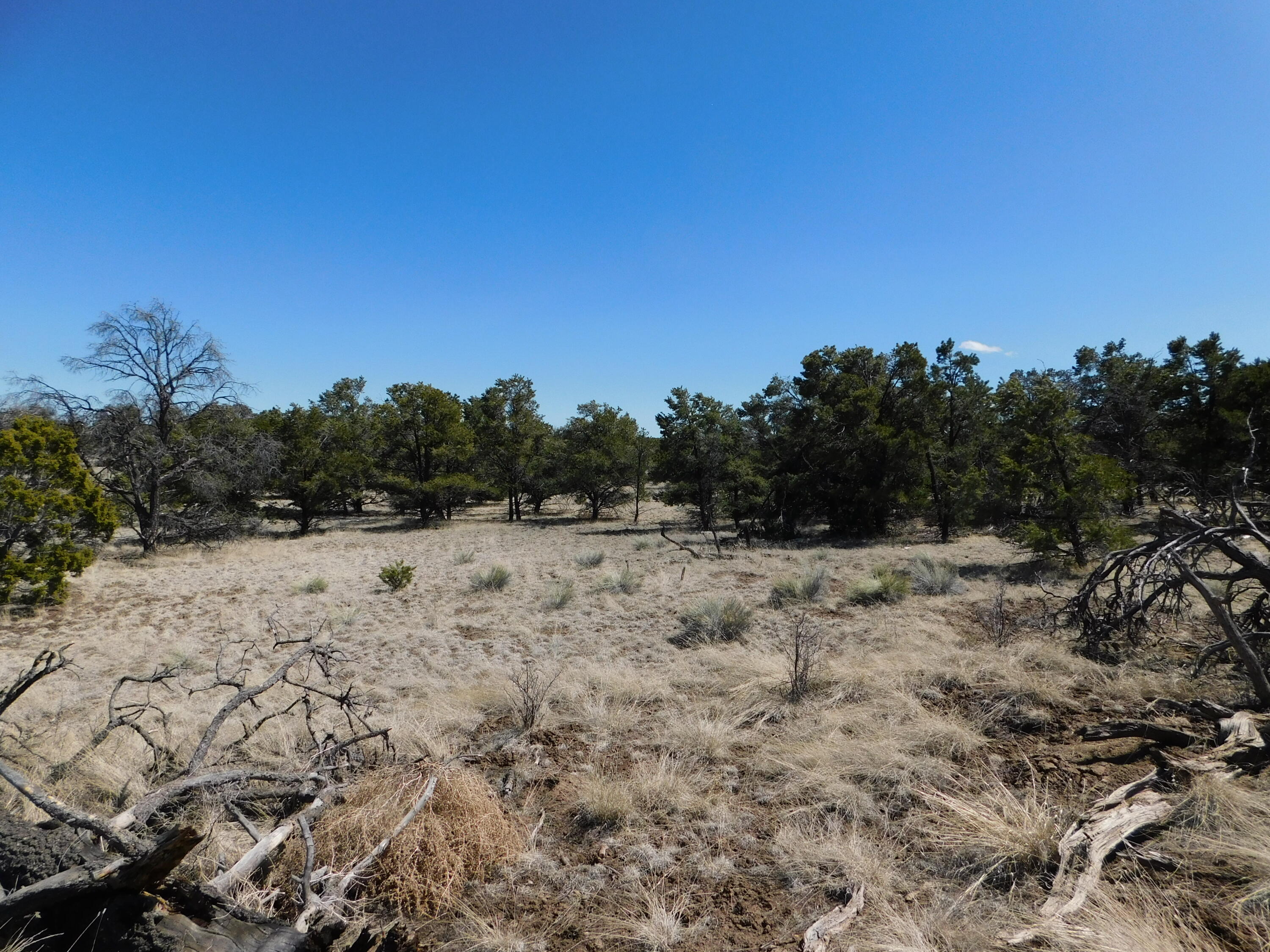 Photo 10 — Lot 70 Creekside Drive