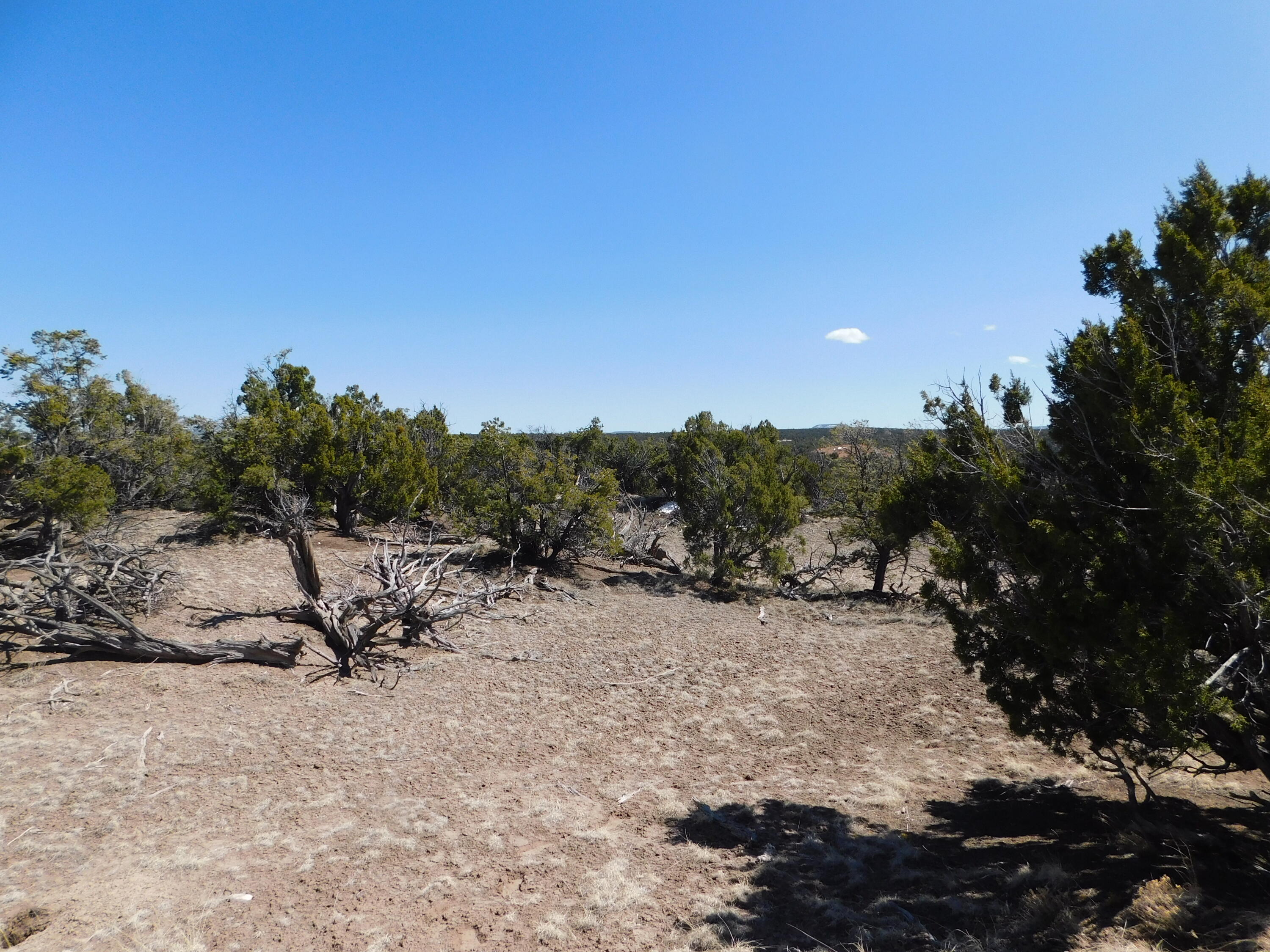 Photo 9 — Lot 70 Creekside Drive