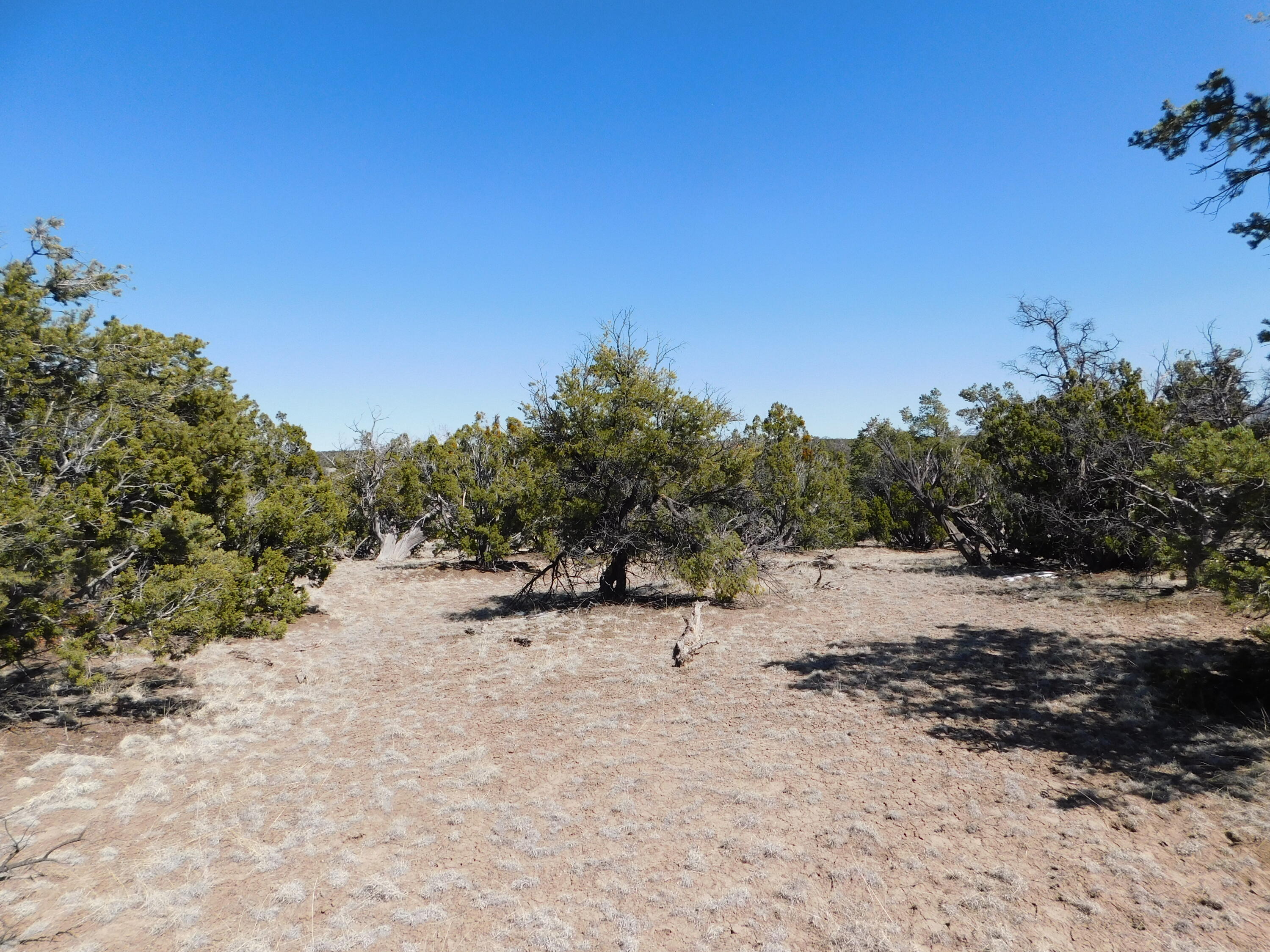 Photo 8 — Lot 70 Creekside Drive