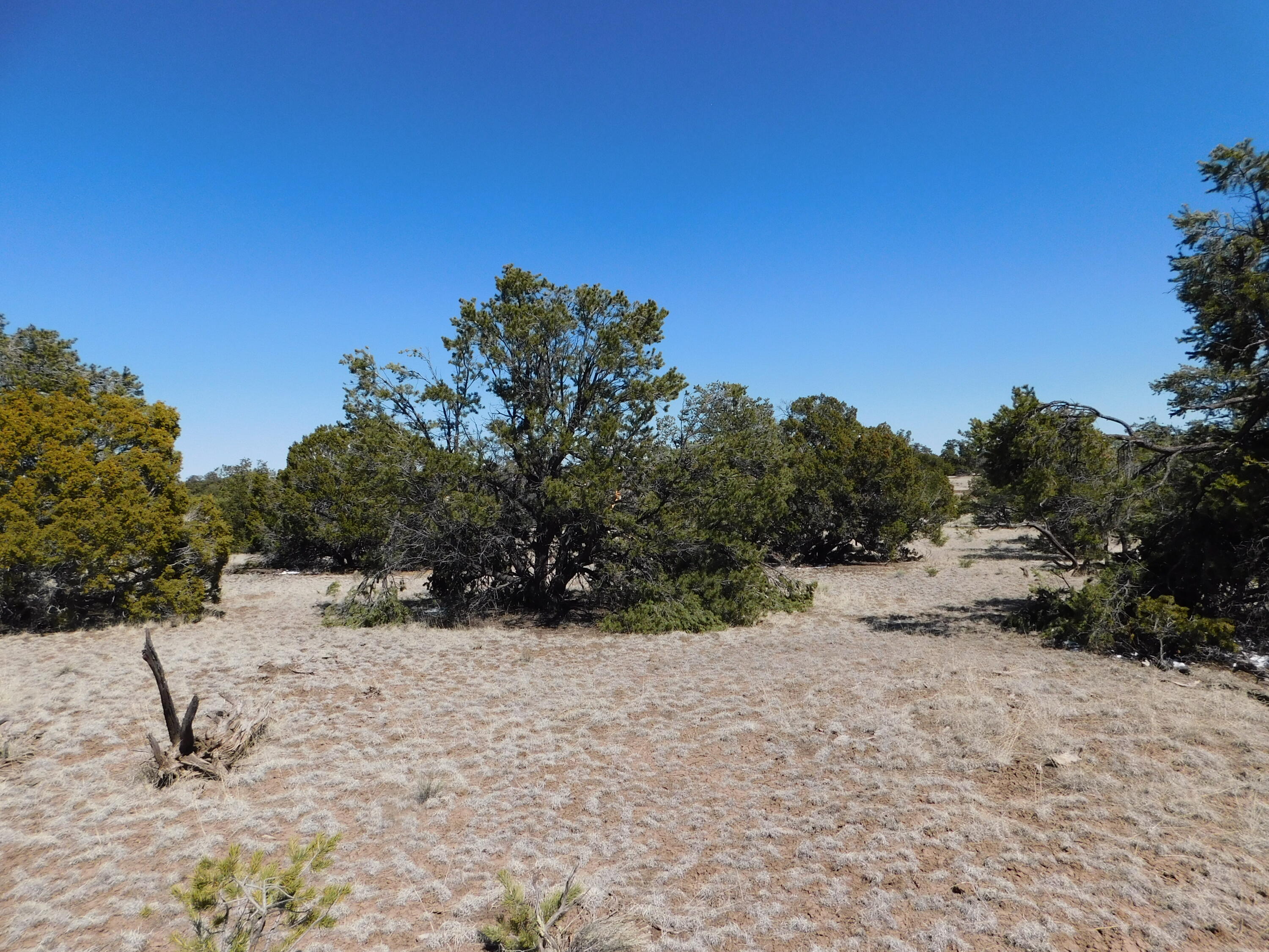 Photo 7 — Lot 70 Creekside Drive