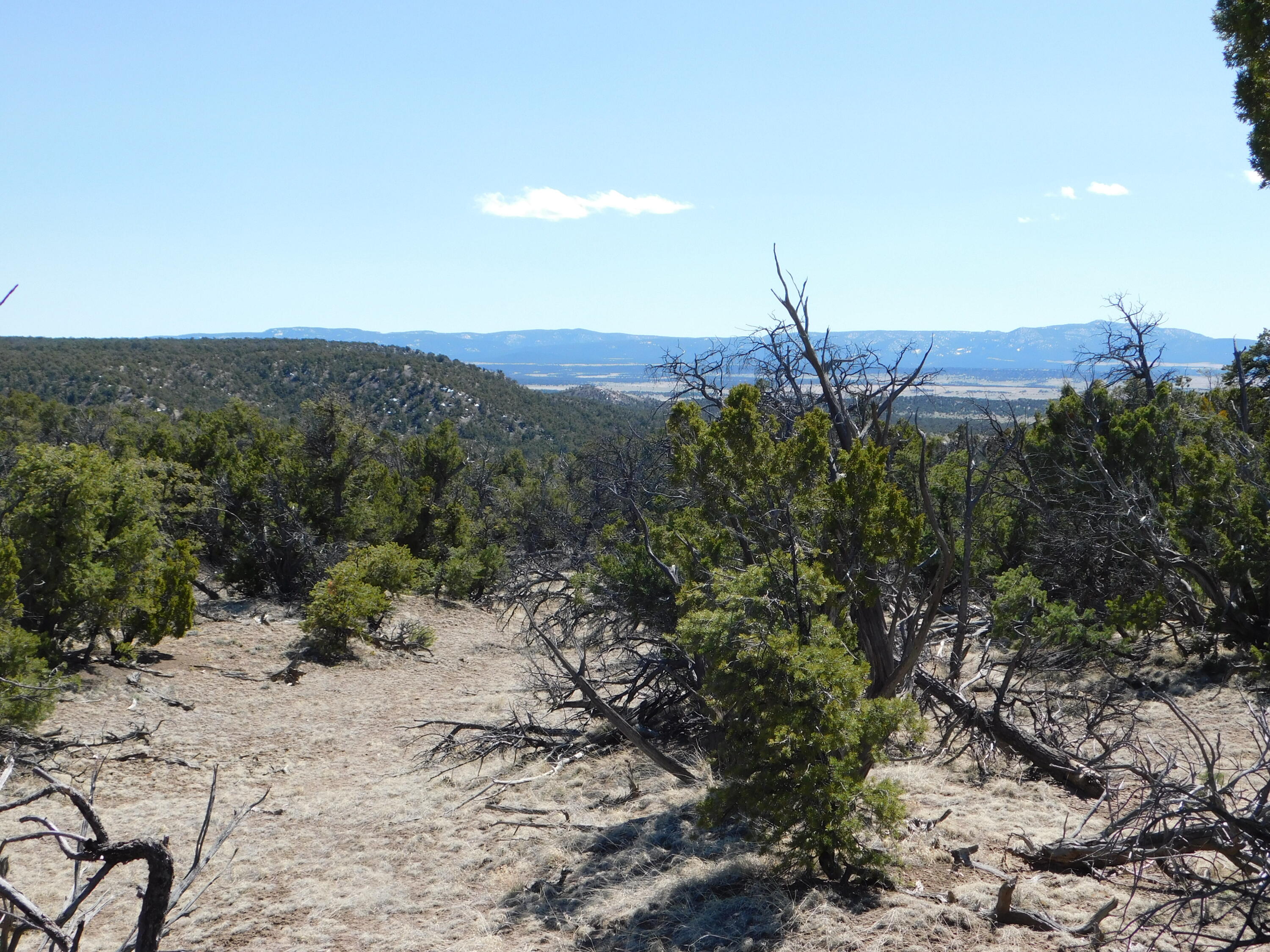 Photo 18 — Lot 70 Creekside Drive