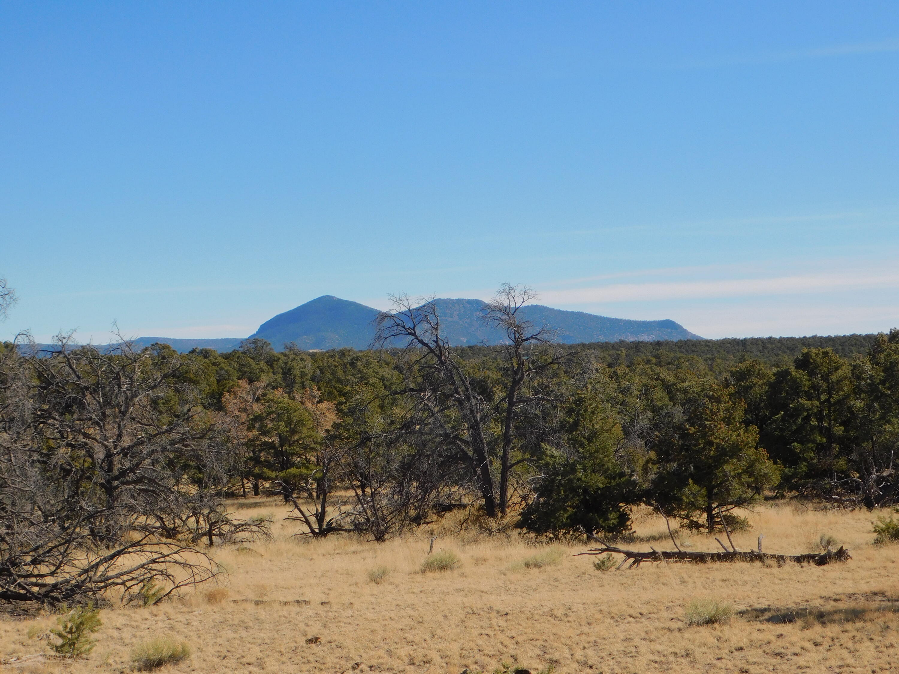 Photo 17 — Lot 70 Creekside Drive