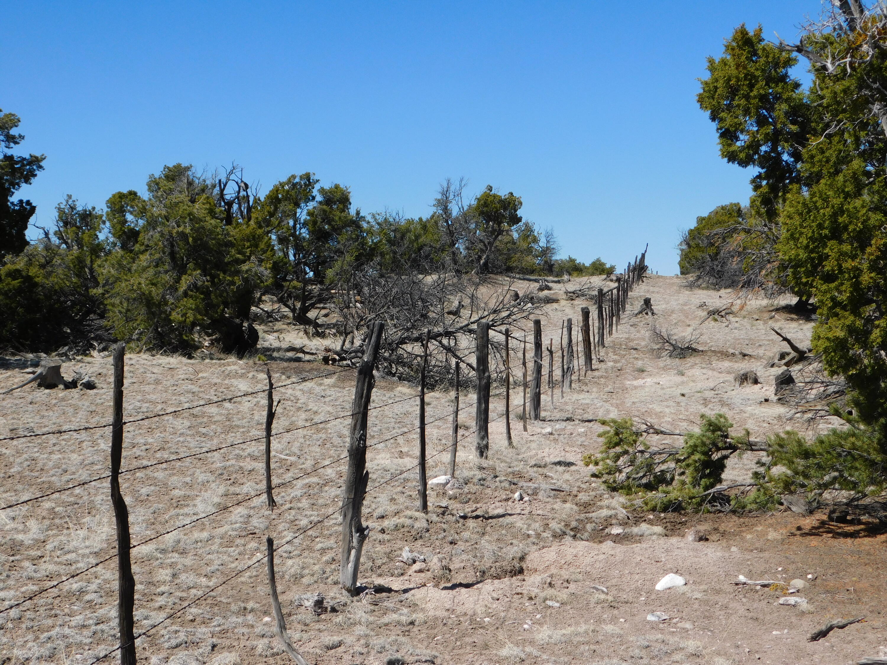 Photo 16 — Lot 70 Creekside Drive
