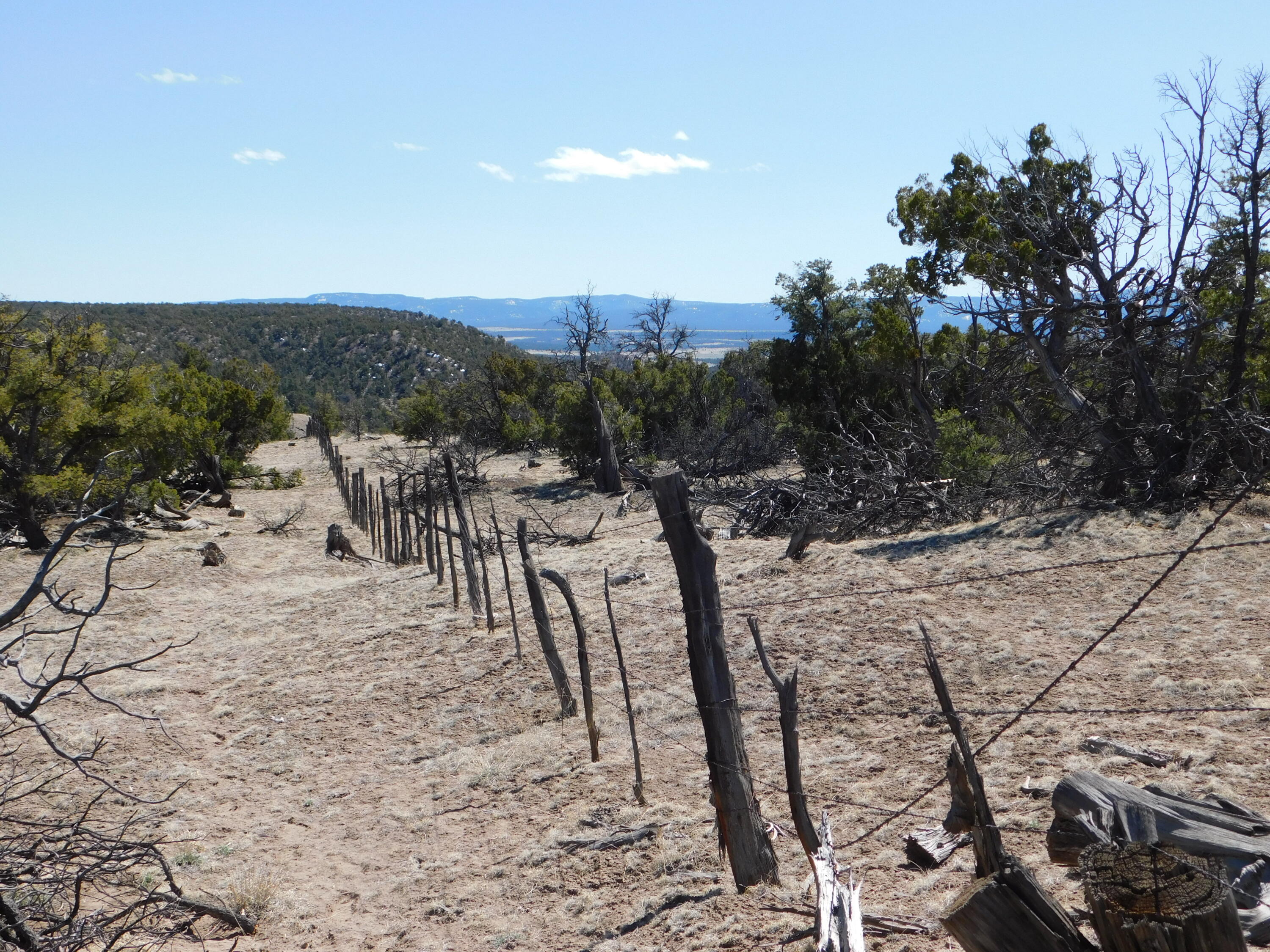 Photo 15 — Lot 70 Creekside Drive